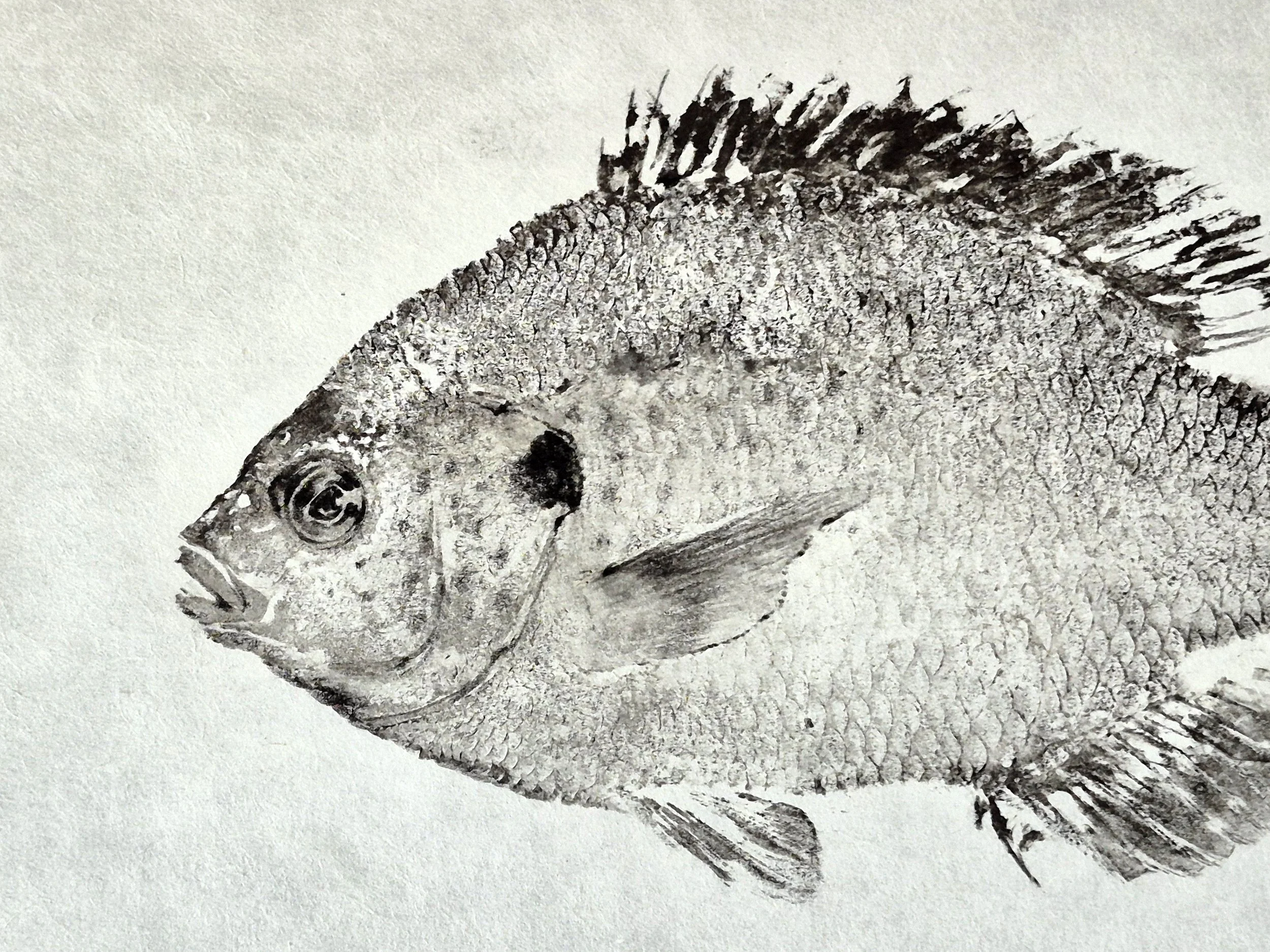 20250902_125955.jpg