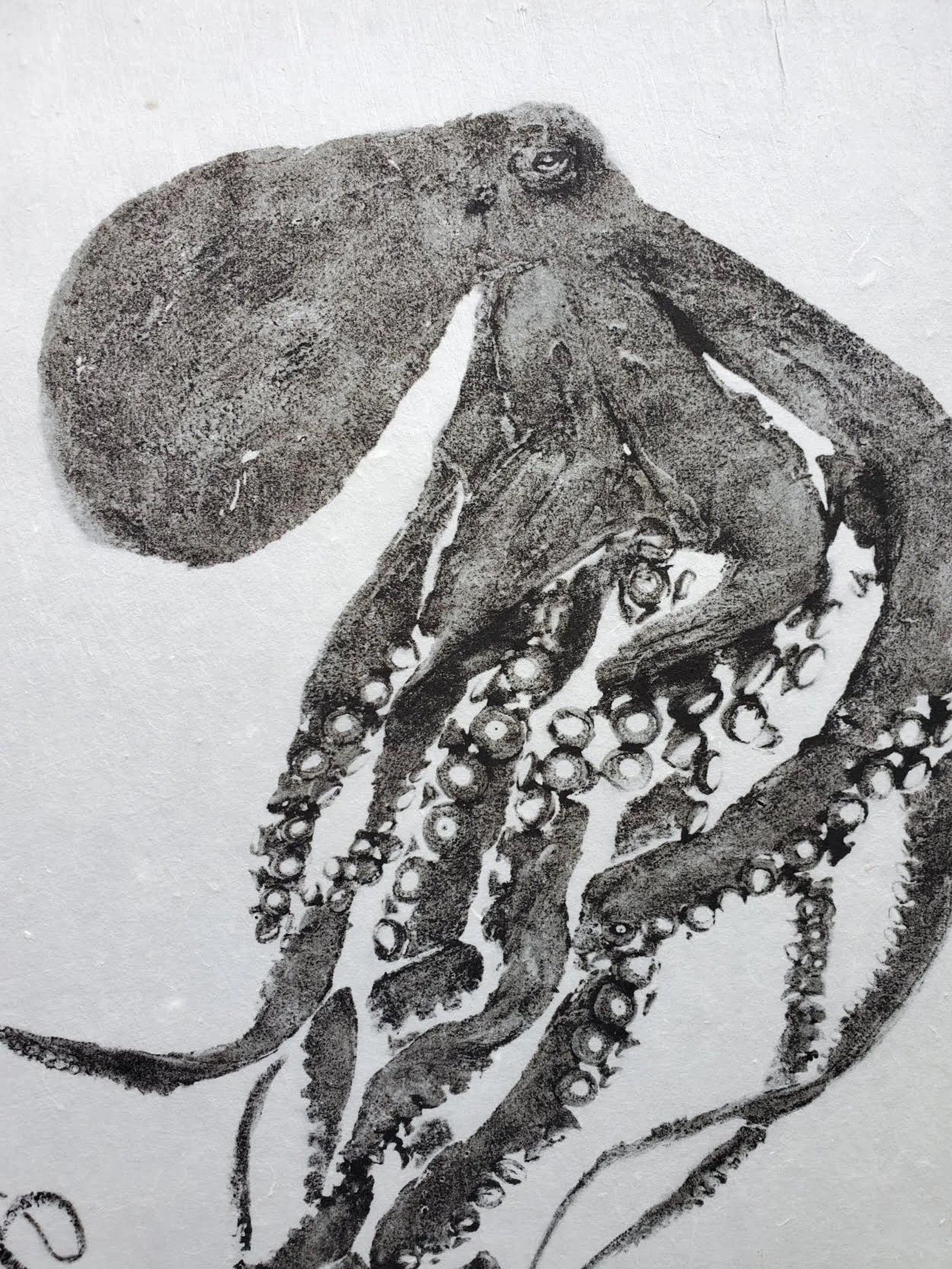 Octopus %22Treble Clef%22 Reproduction 1.jpeg