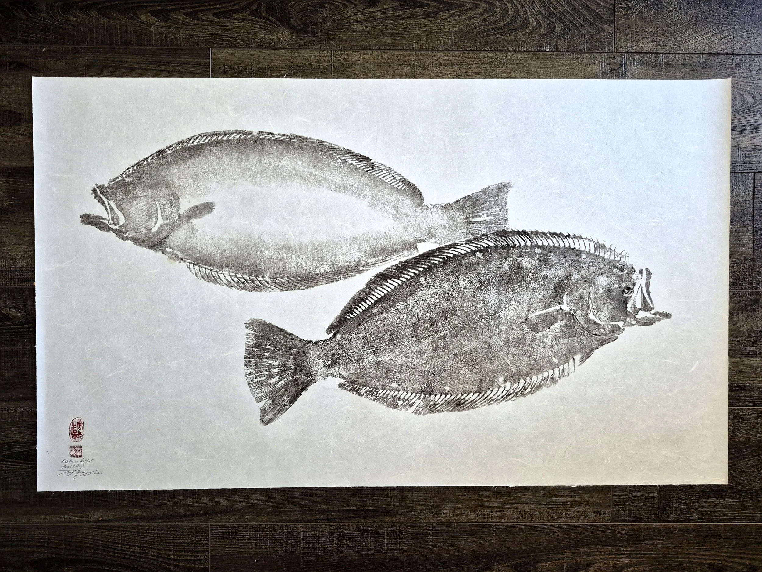 California Halibut - Front & Back 41.5x24.5" - 2026