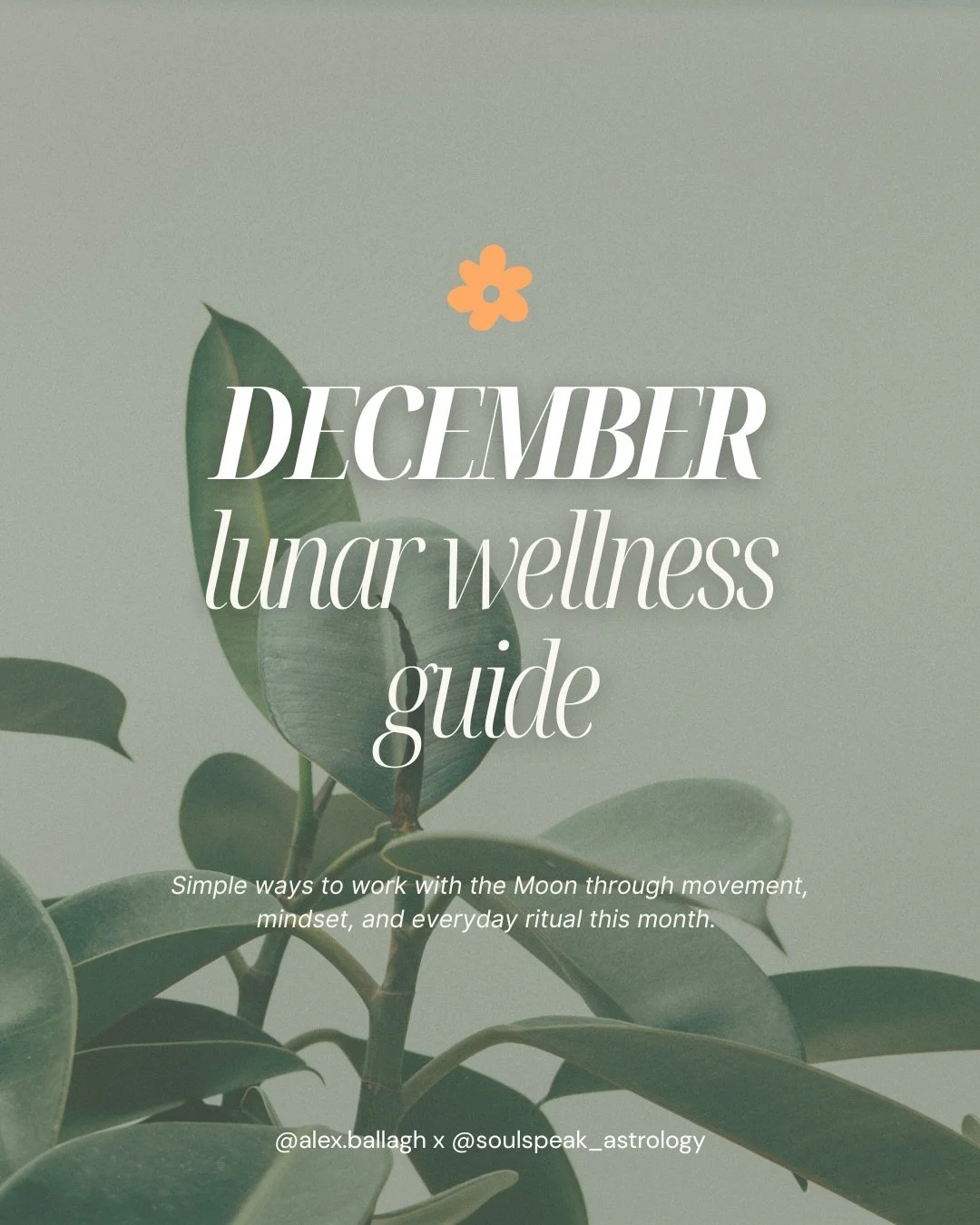 Your first monthly lunar wellness rituals guide is here 🌑 

Swipe through for somatic and nervous system nourishment, thoughtful rituals and intentional prompts .. 

Do what feels good, and leave the rest. 

This is your invitation to weave real wel