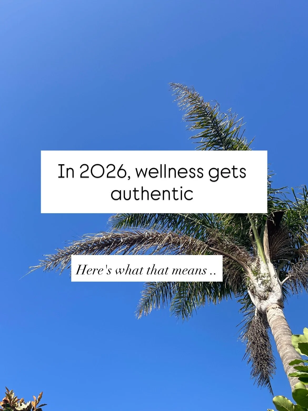2025 taught us a lot. In 2026 we&rsquo;re doing it differently. With more truth, more ease, and more you.

Join Wellness Woven In &mdash; New Year Reset Edition. 
Starts Jan 19th
$44 only 
Comment CHALLENGE to join.

#holisticwellness #realworldwelln