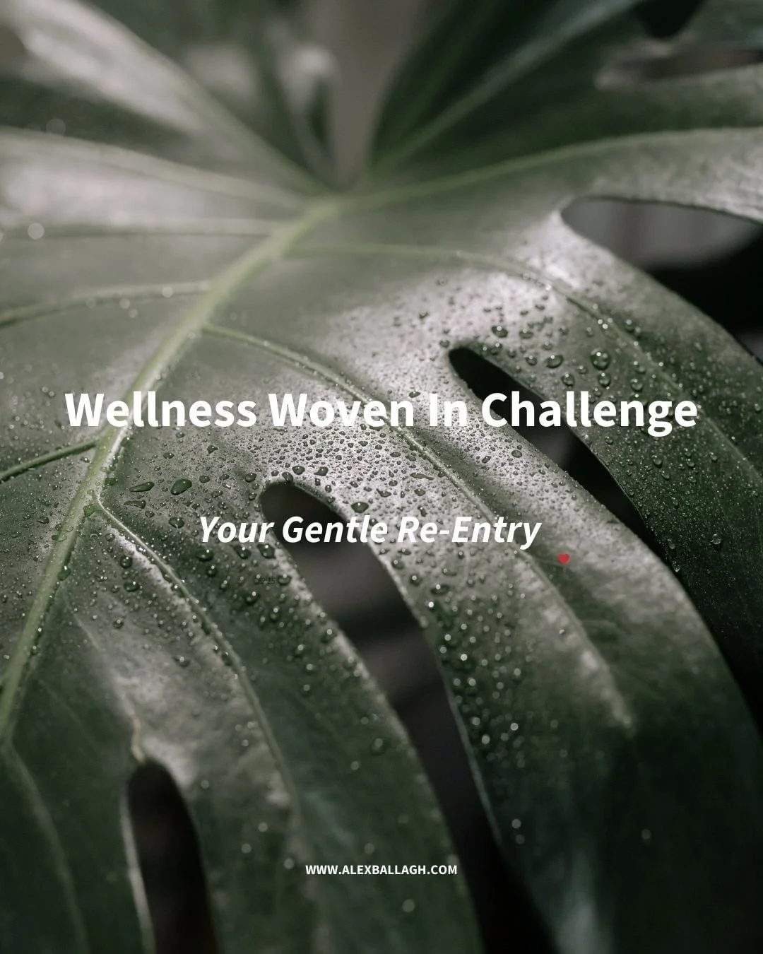 Think of it as a New Year reset&hellip; but the friendly, &ldquo;let&rsquo;s do this together&rdquo; kind.

Comment CHALLENGE to join us 💚

#newyearhealthreset #realworldwellness #holisticwellness