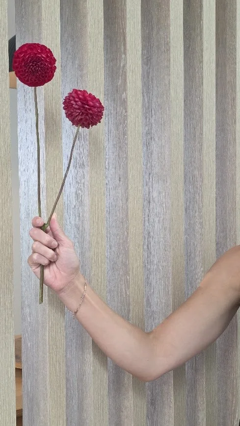 Wellness without the breakup - Keep what you love, ditch what you don’t