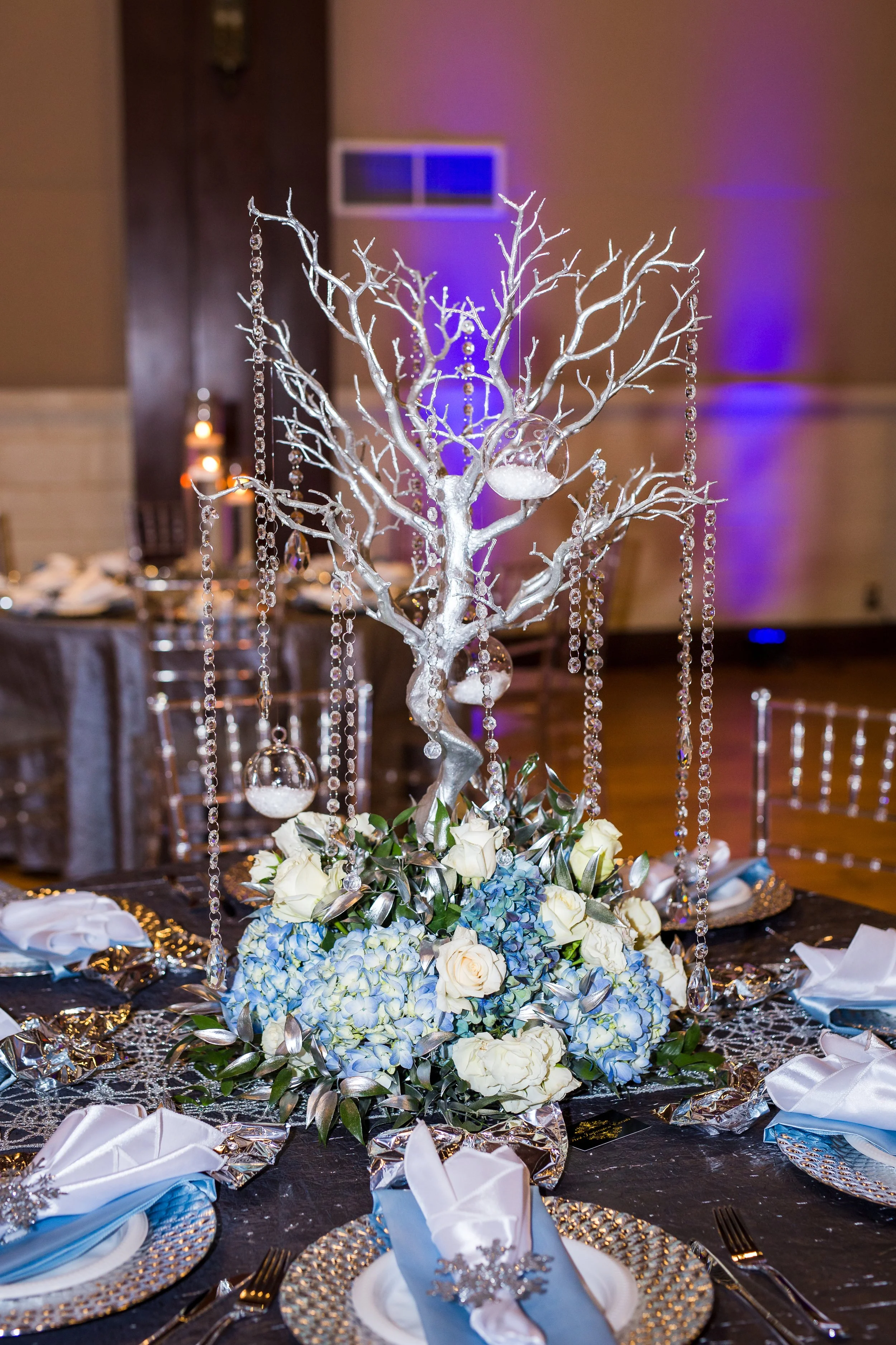 Event Photography & Videography Services - Moon Reflections Photography - Videography - Metro - Detroit - Michigan - IMG_3808.jpg