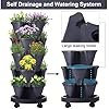 self watering.jpg