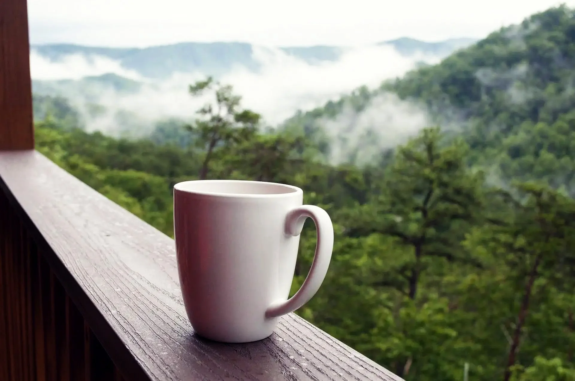 coffee cup sitting on railing overlooking misty mountains