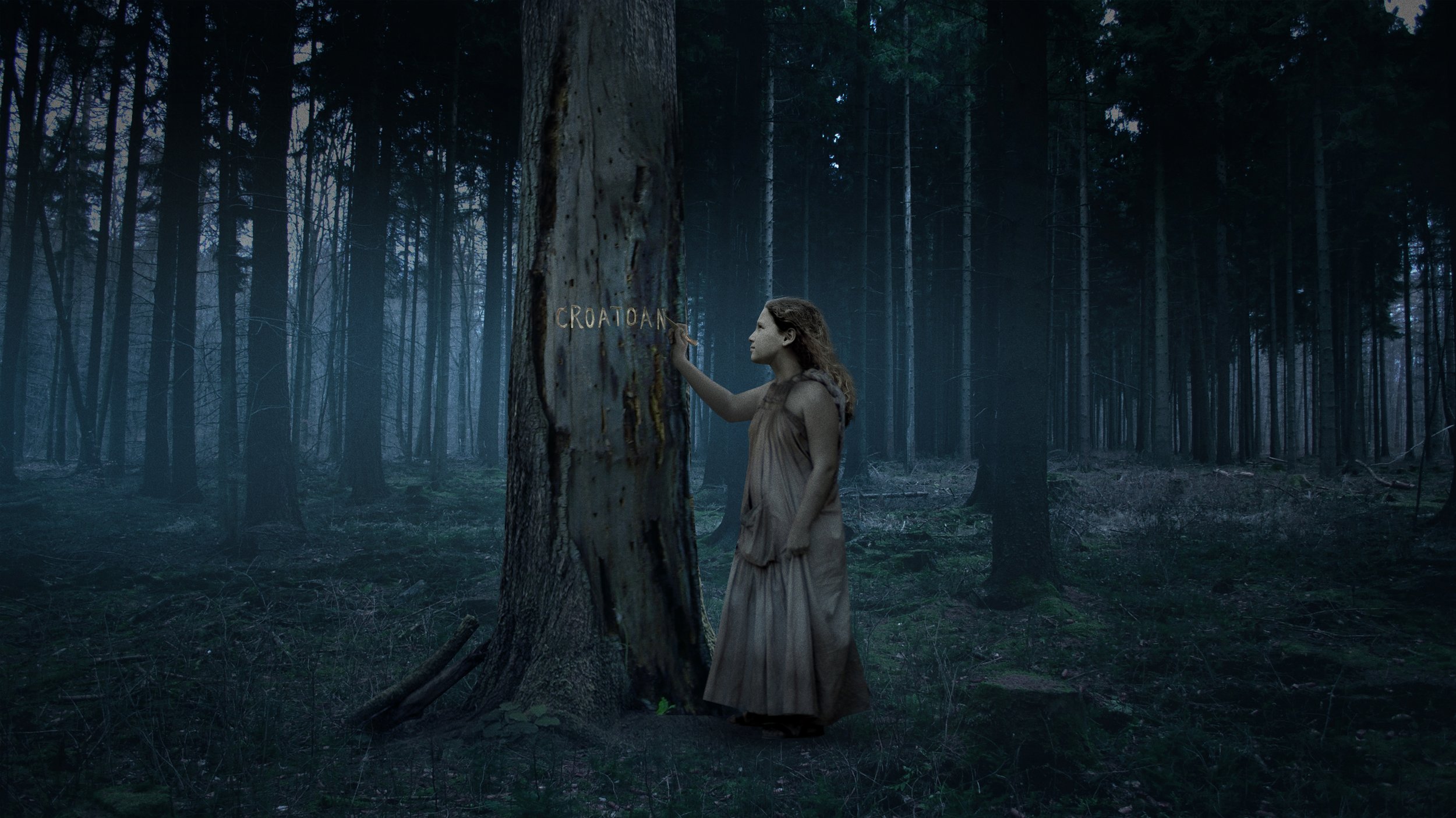 forest_tree1.jpg