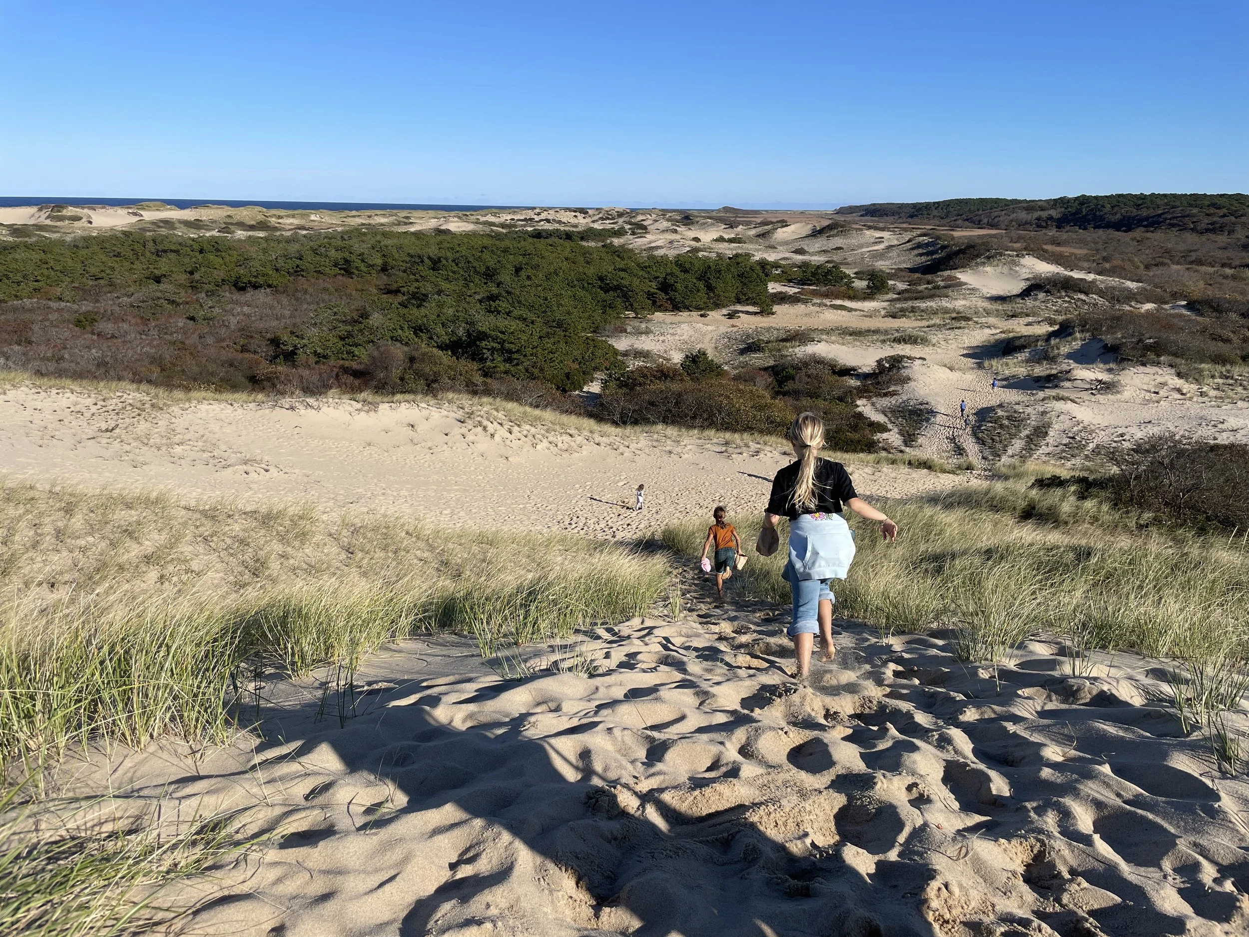 Kid Foragers: Spring Session