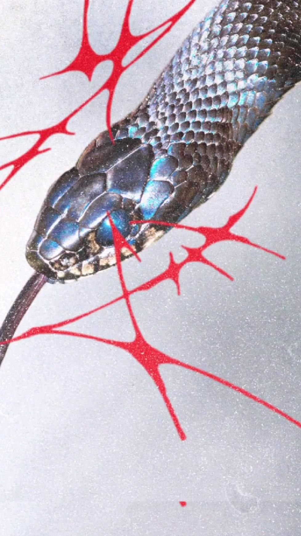 75. @design.syndrome on.jpg