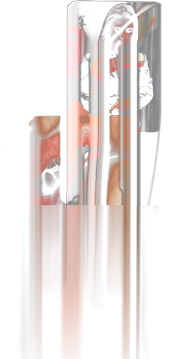 Screenshot 2024-04-07 at 10.45.58 PM copy 3.png