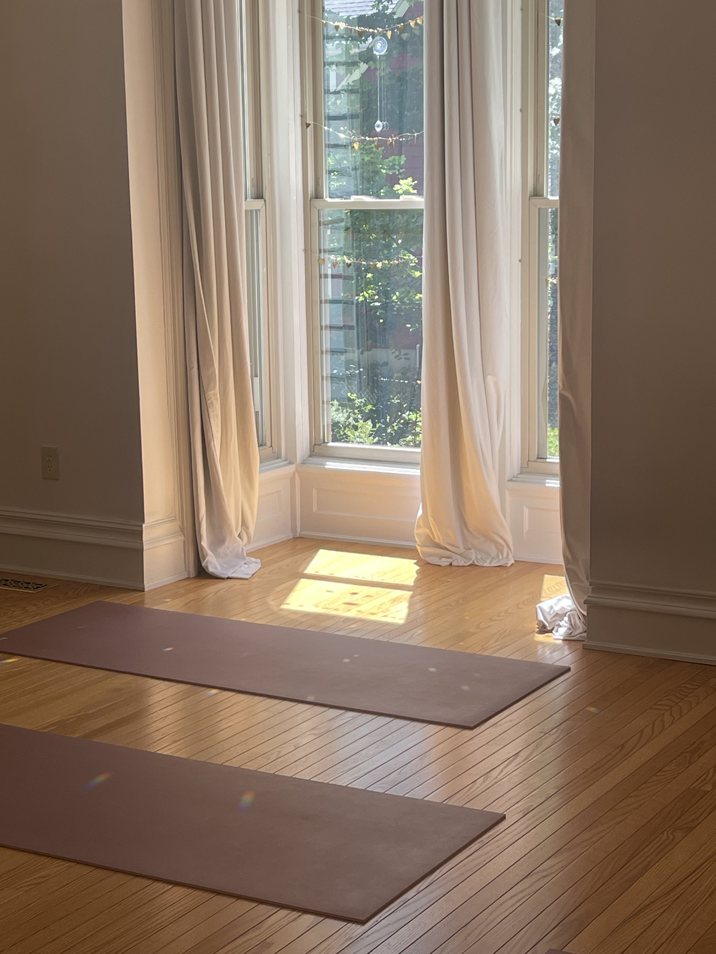 Foundational Yoga Teacher Certification Training Begins!