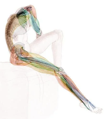 Module 1: Yoga Teacher’s Guide To and Through the Body 
