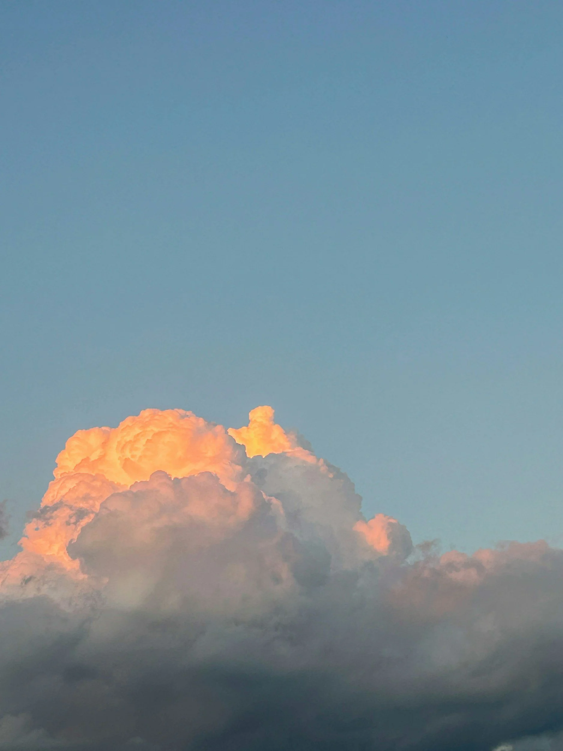 Who Do You Want To Be?