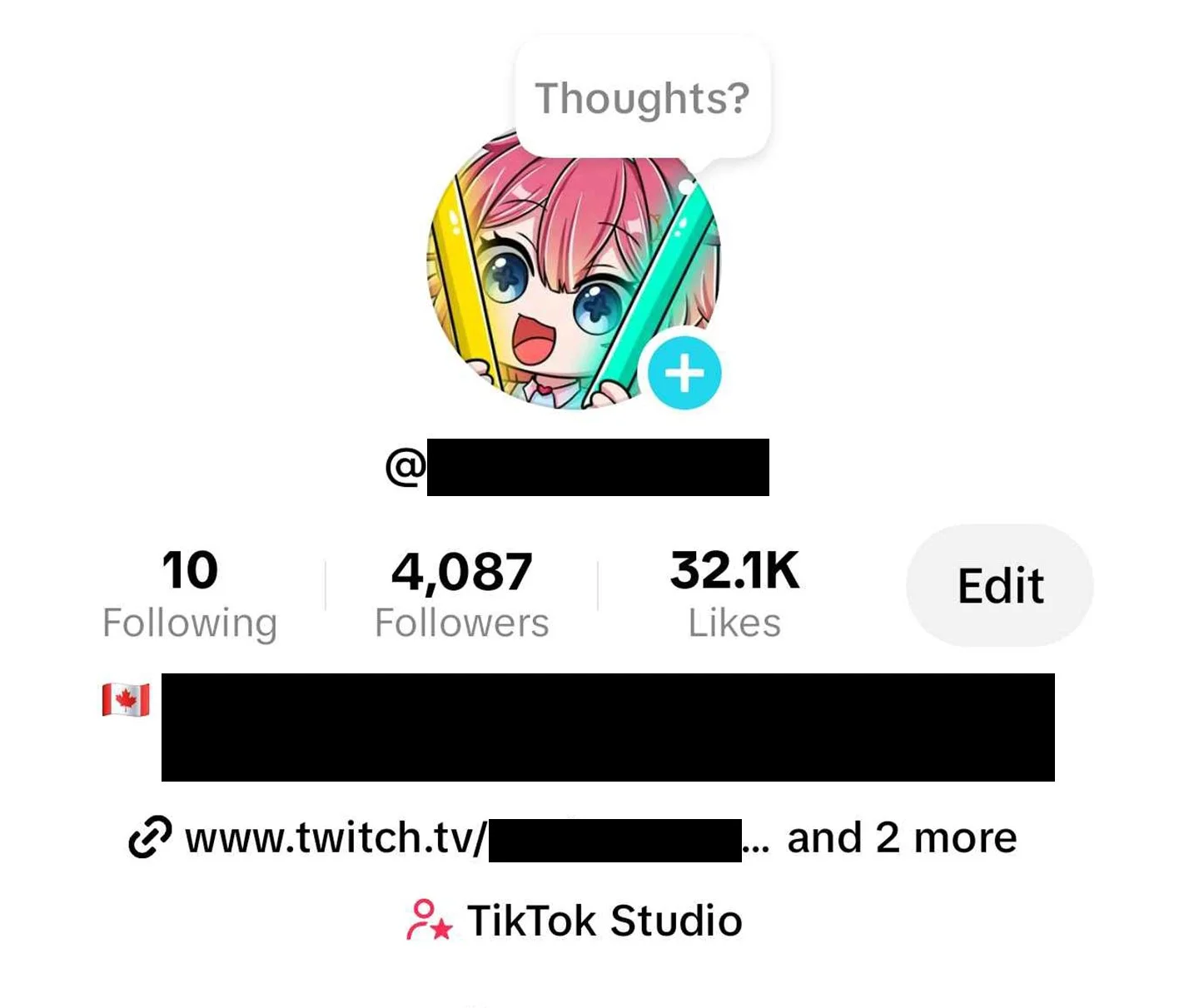 TikTok Results after 1 Year