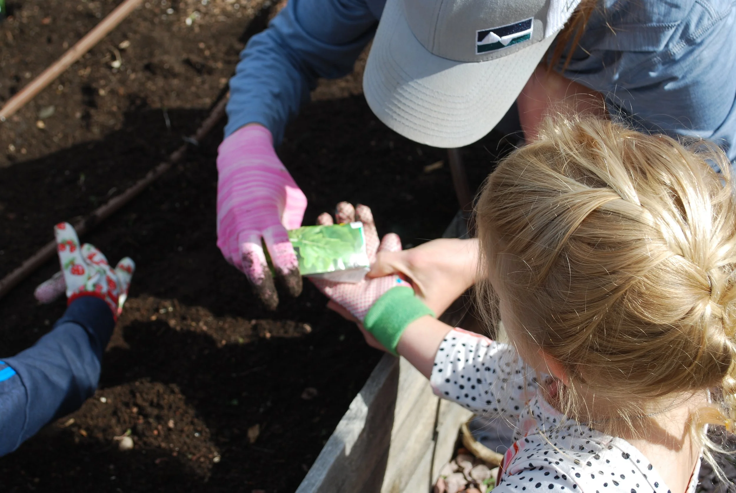Montessori10.plantingarugalaseeds.CarlaLucas.jpg.JPG
