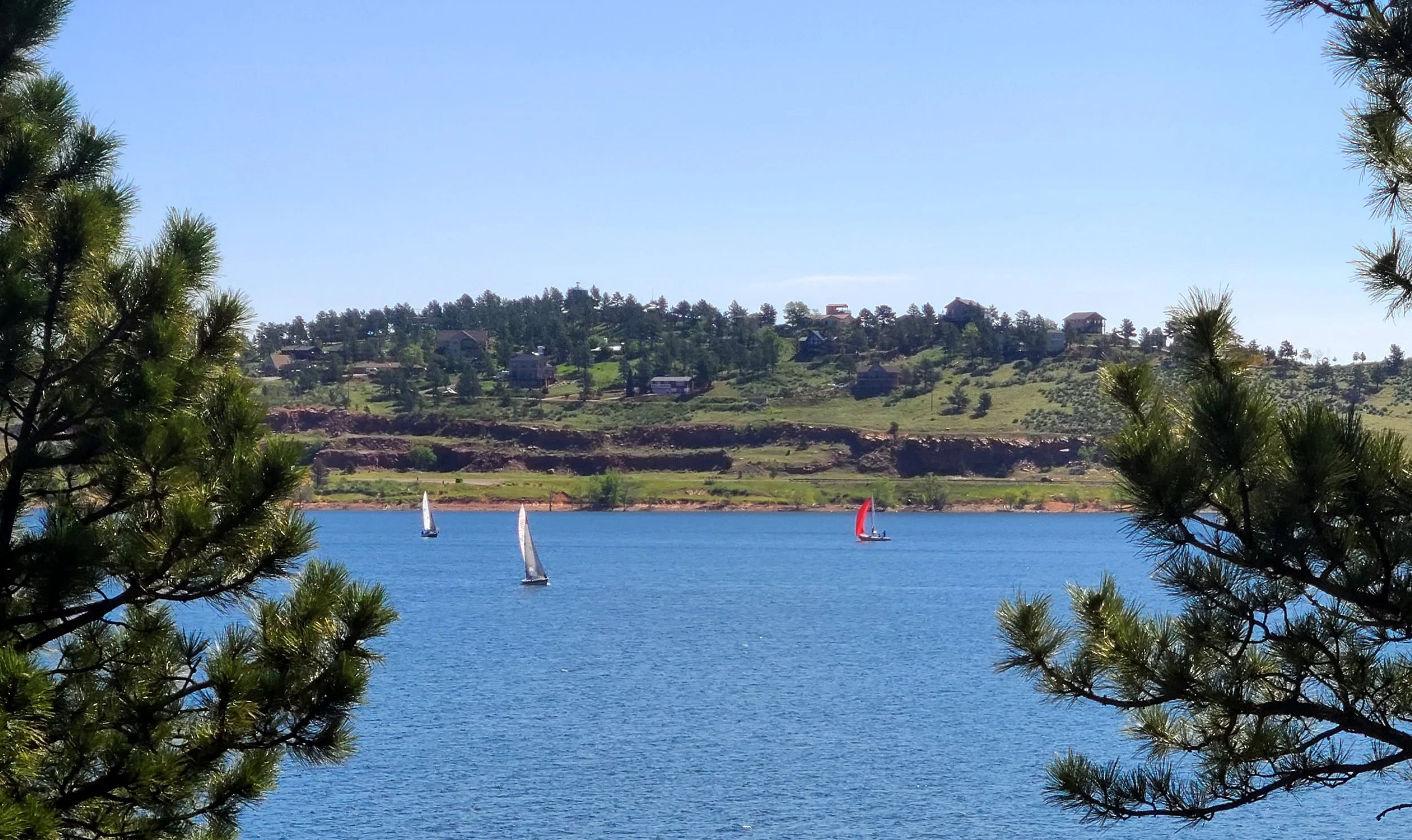 sailboats 1 Carrter Lake June 2022 by Carla Lucas.jpg