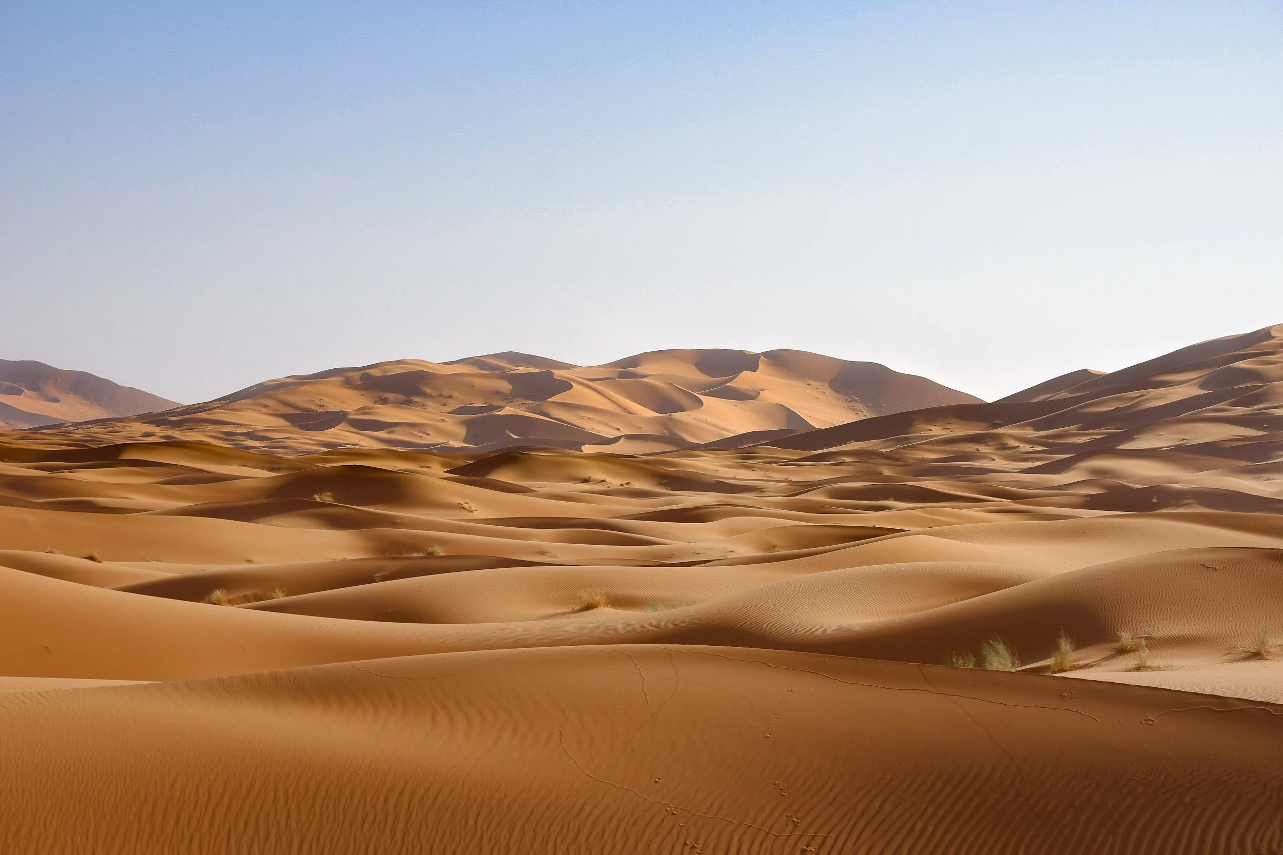 Week 4: God Remembers (Exodus 2:23–25 and 6:2–8)