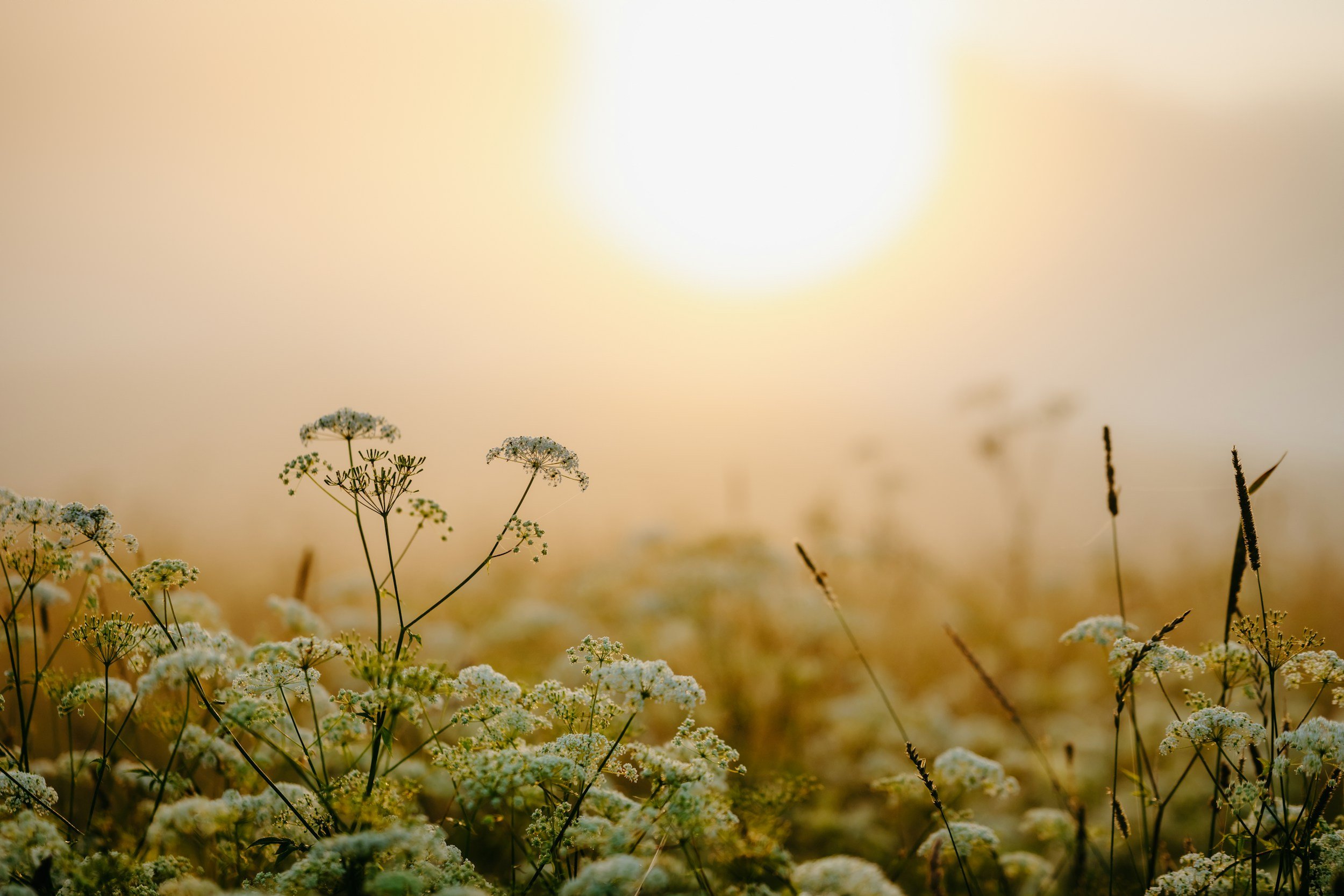 Week 1: The First Holy Thing Was a Day (Genesis 2:1–3)