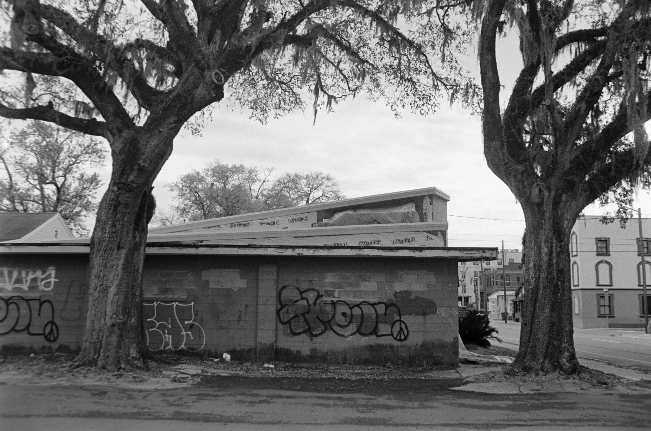 MLKReshoot_KodakTriX-10.jpg