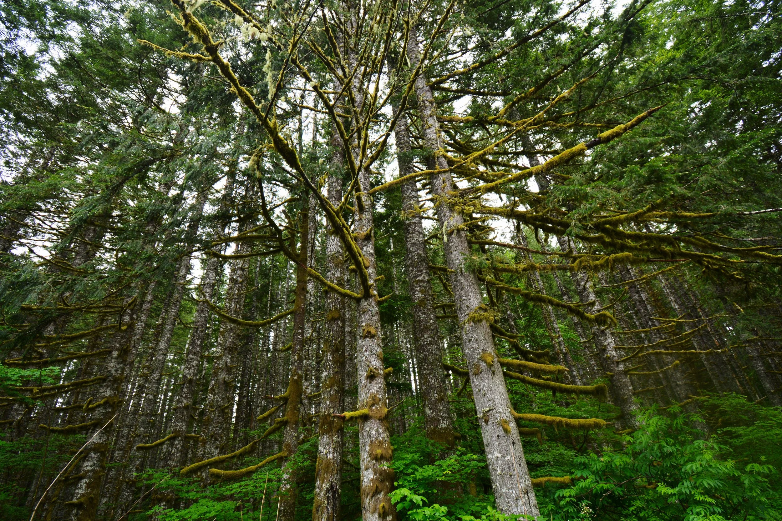 DSC_8839.jpeg