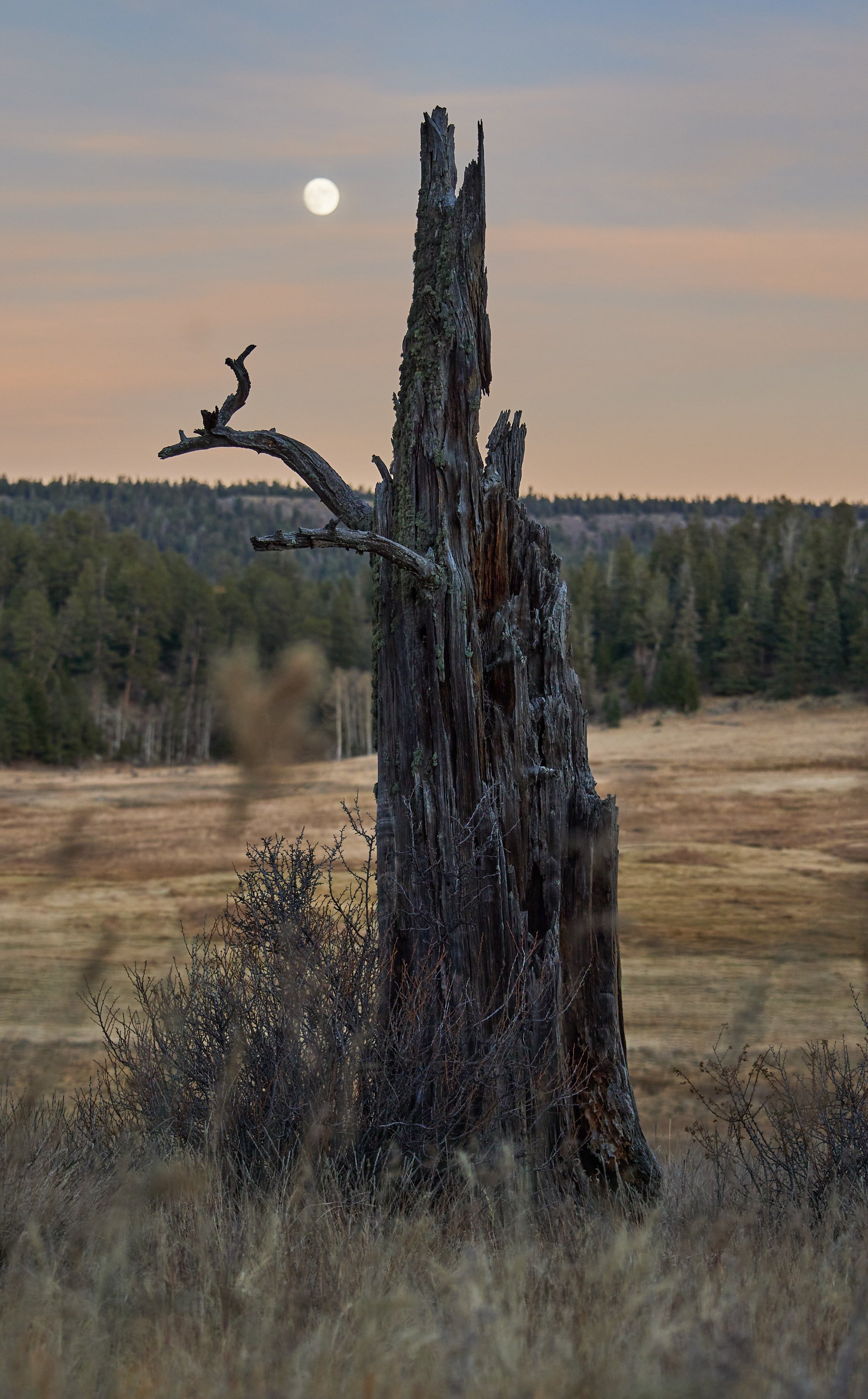 _99A7690.jpg