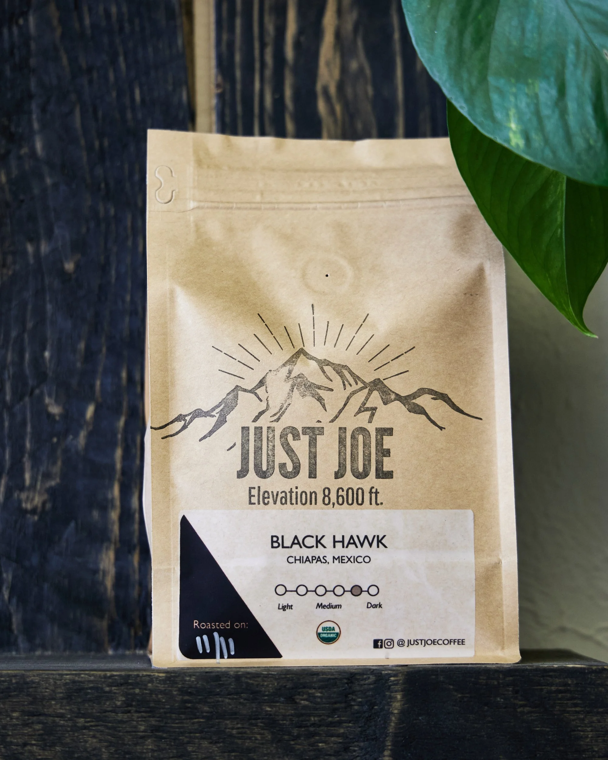 justjoe00019.jpg