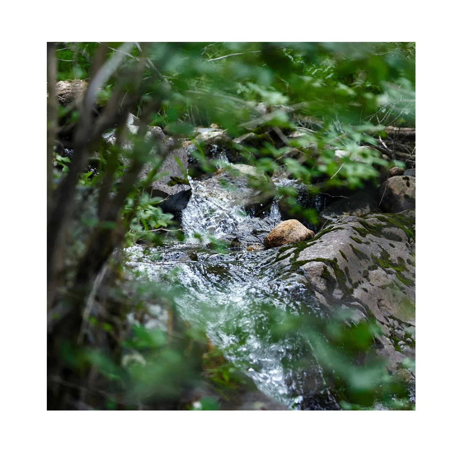 onlinestore00008.jpg