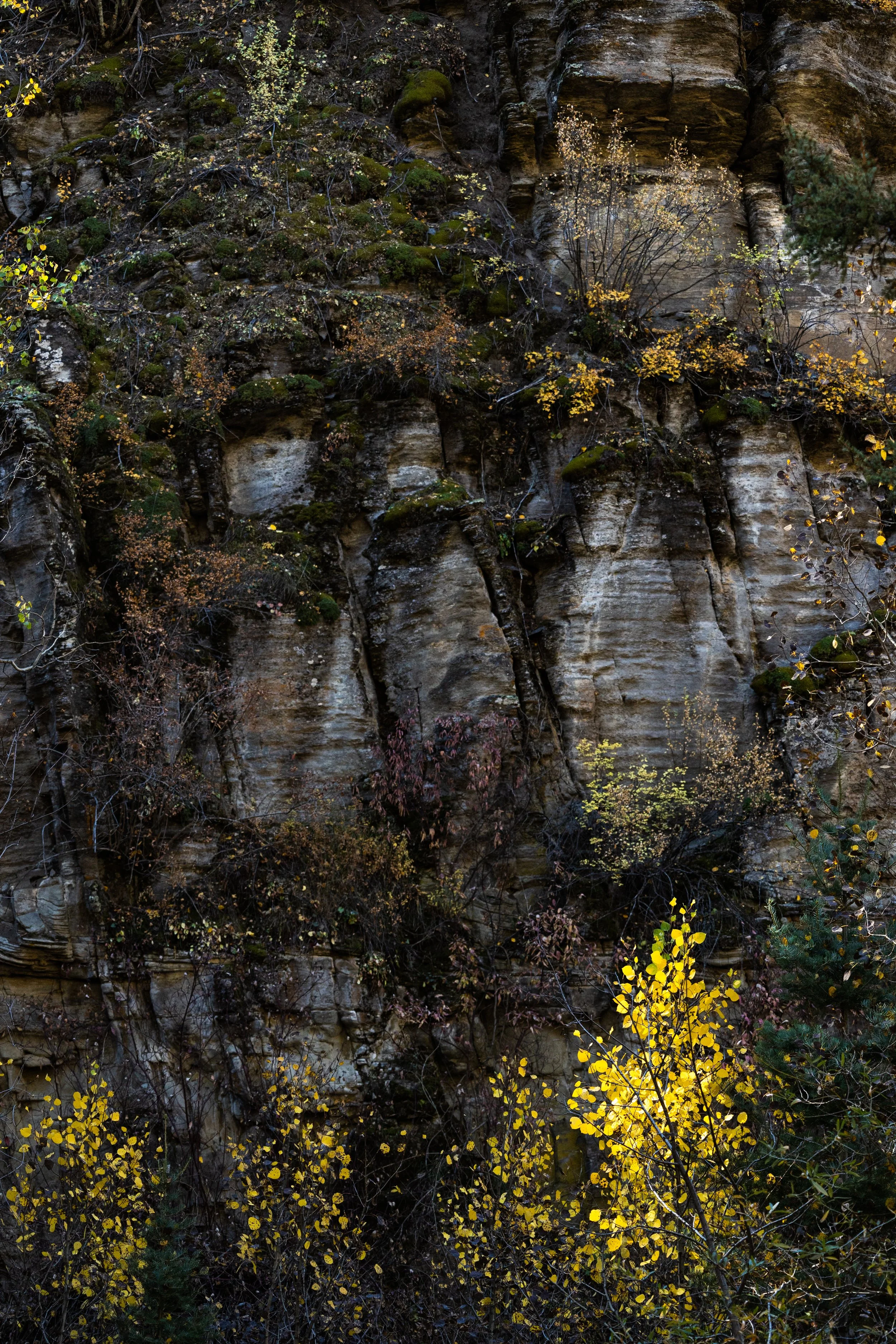 fall-16.JPG