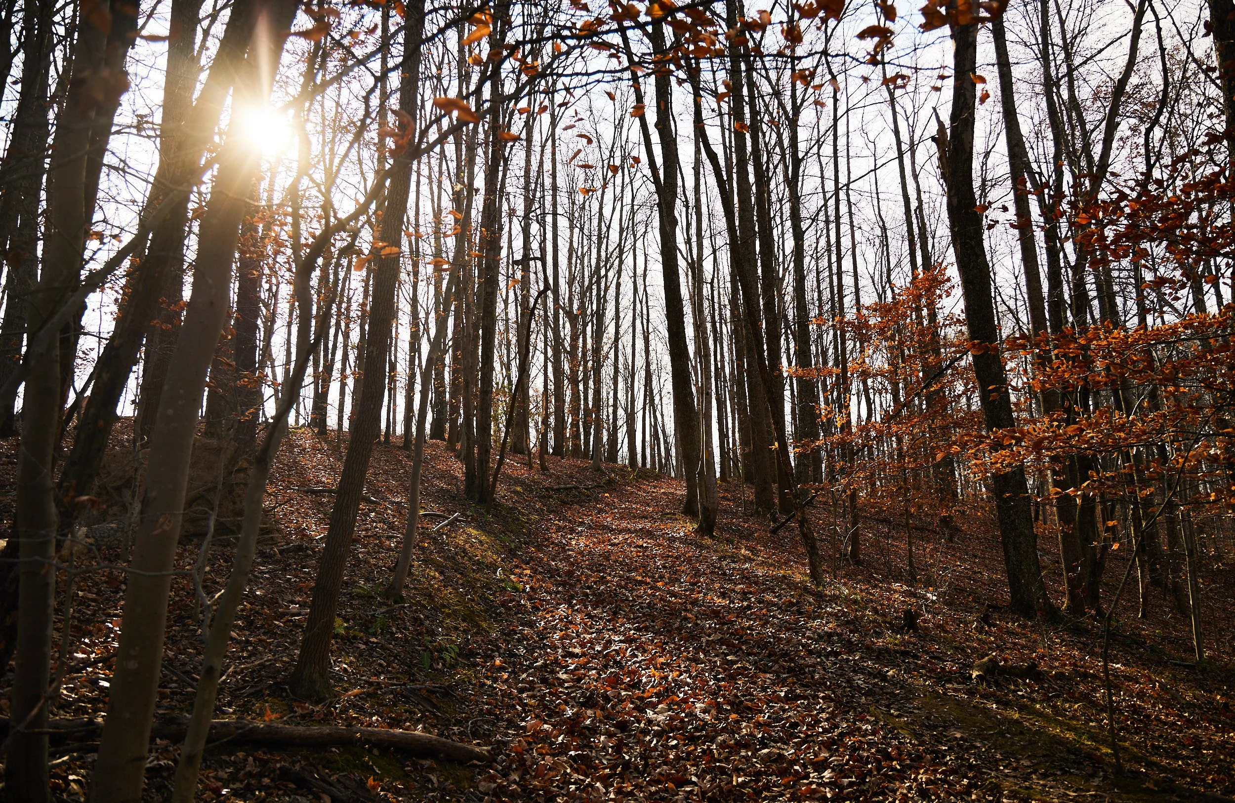 PeaksandPlaces19.jpg