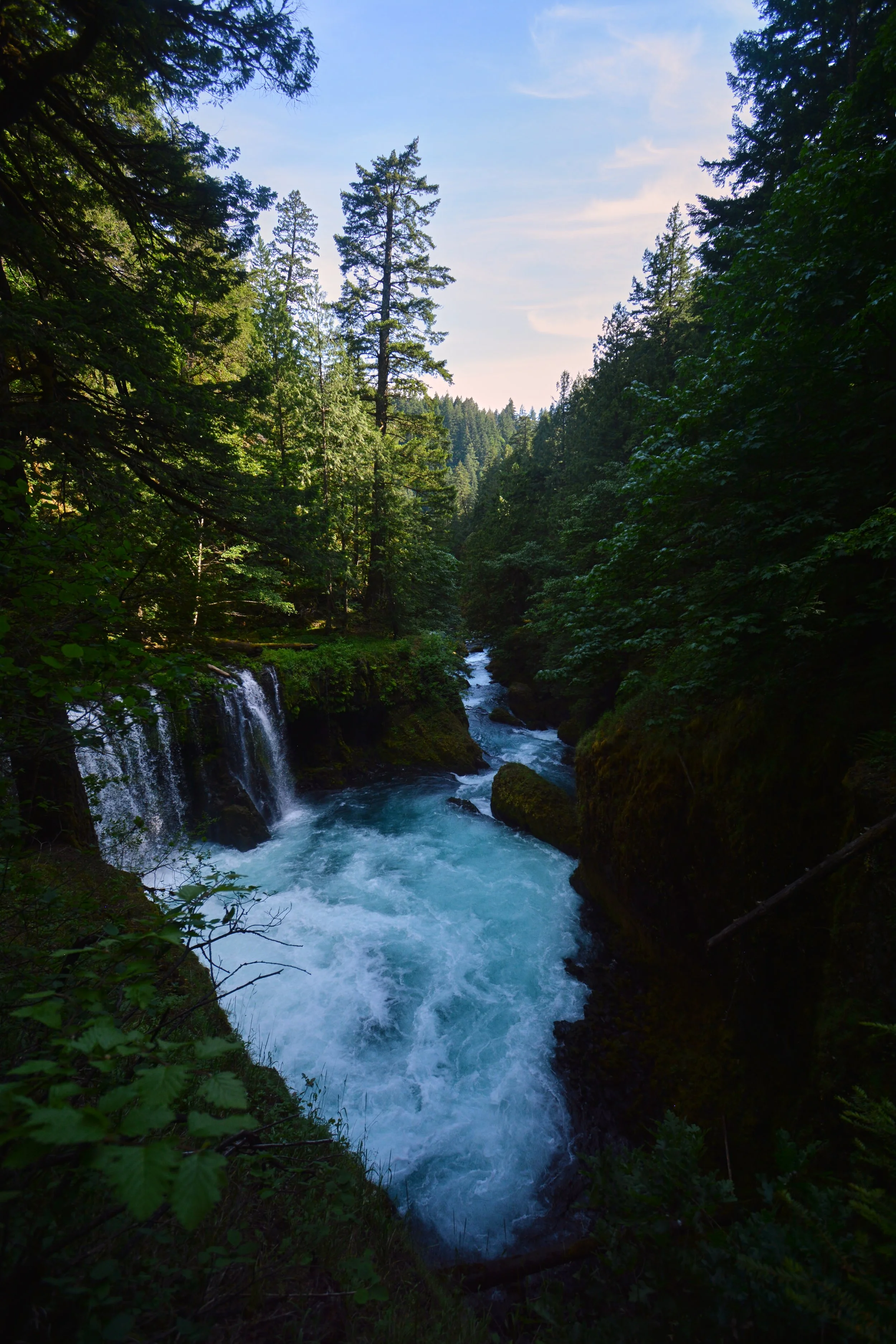 DSC_9101.jpg