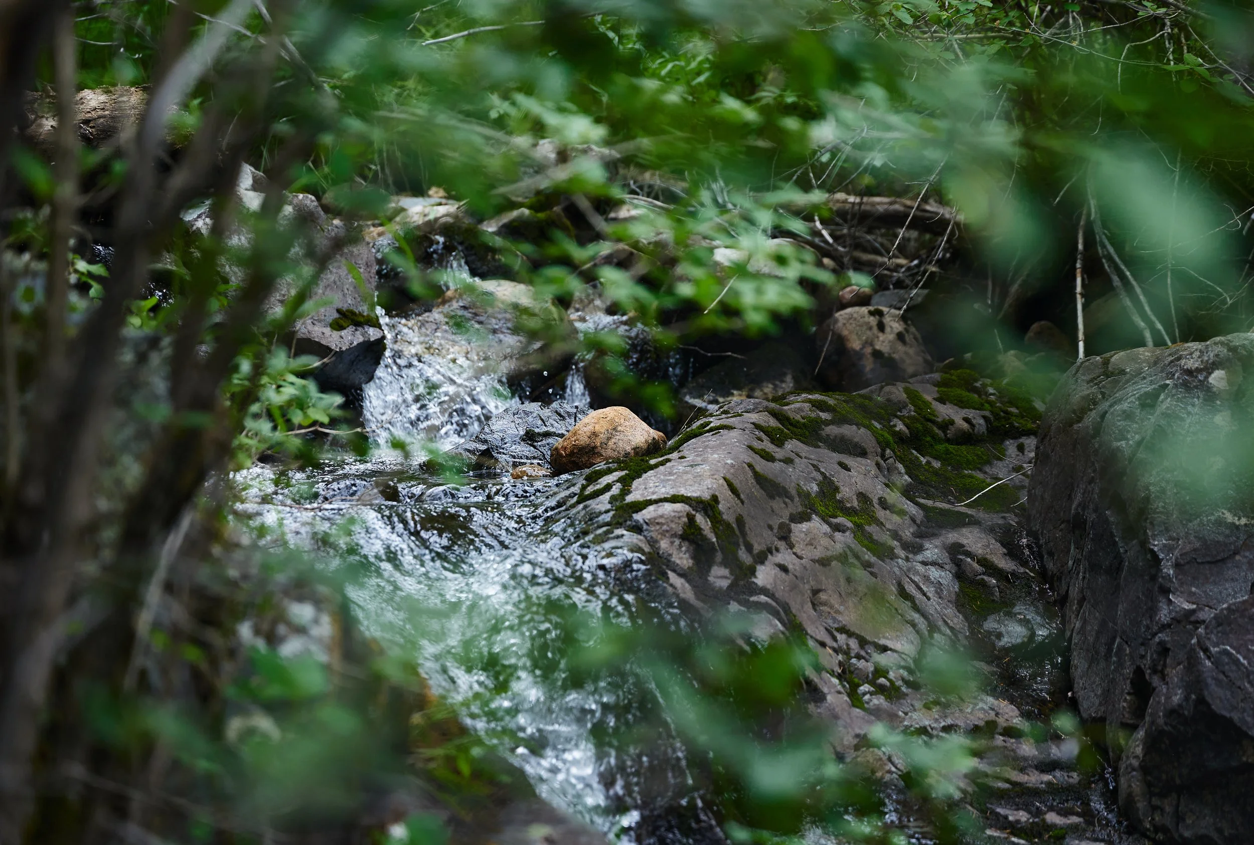 clearcreek 10.jpg
