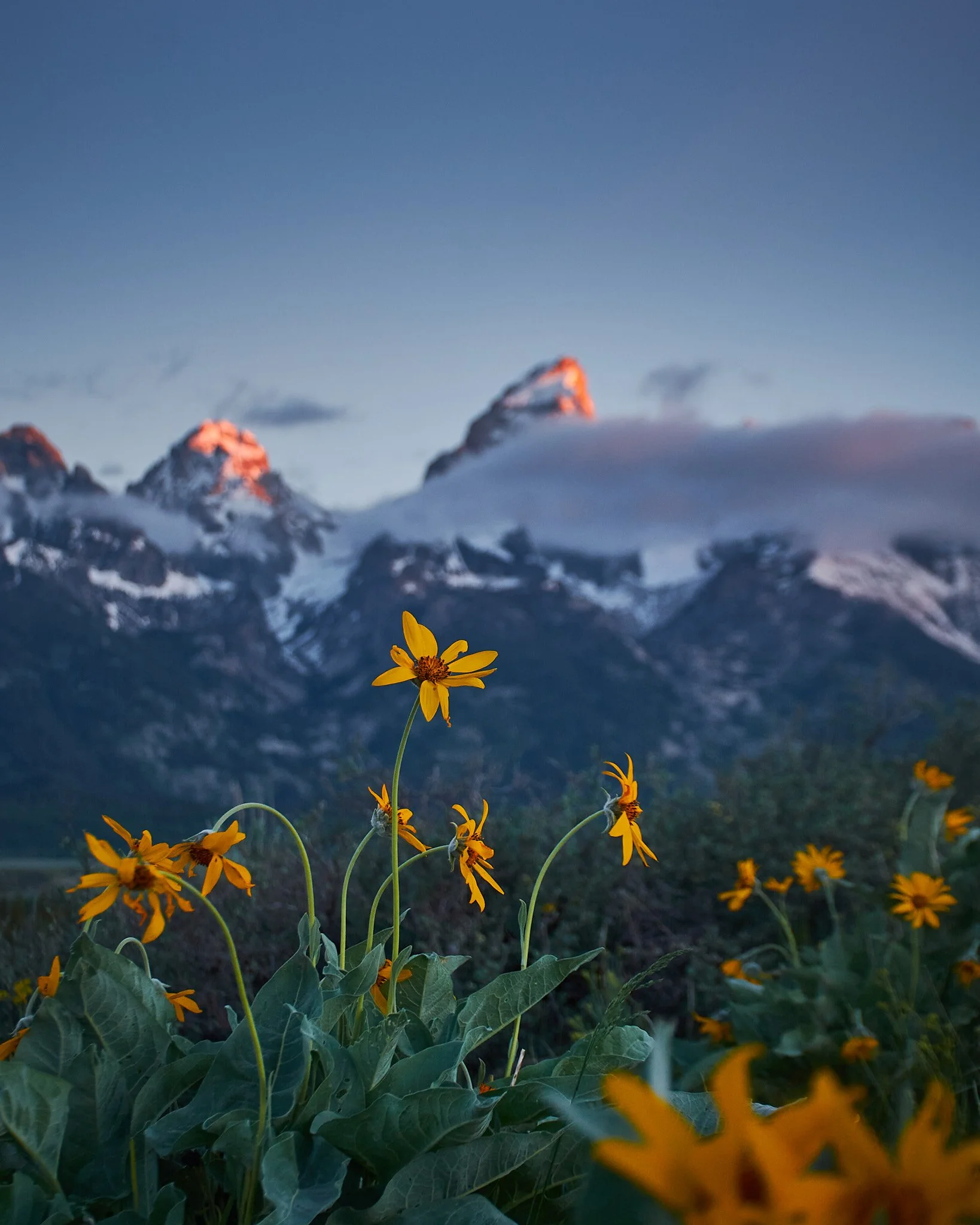 PeaksandPlaces2.jpg