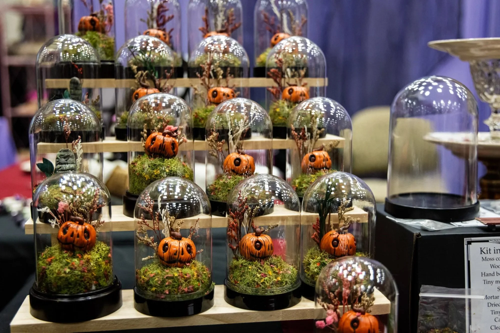 Multiple small decorative pumpkins inside glass domes on a display table.