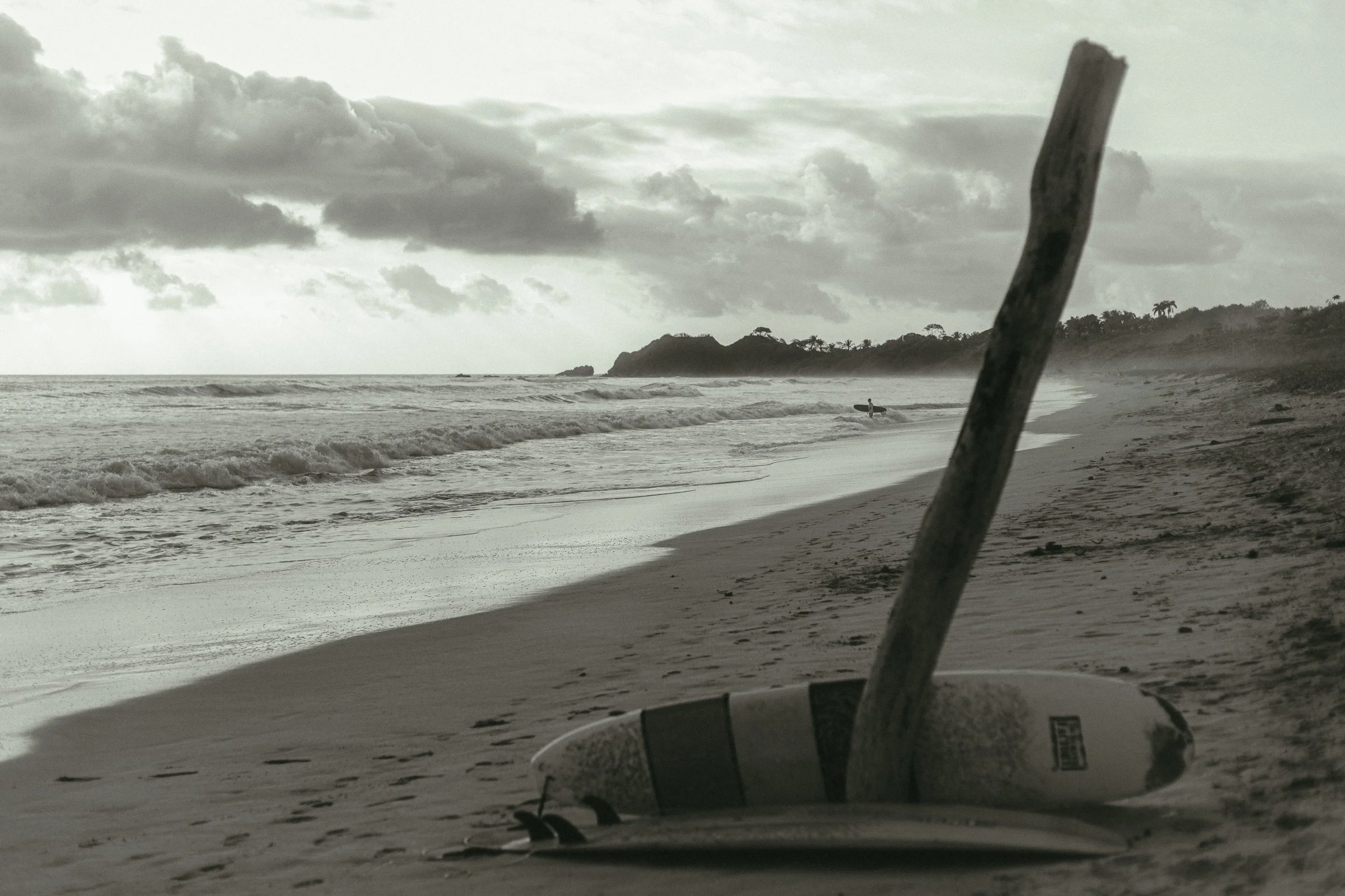 Surfer walking along the beach with jungle-covered headland in the background at Playa Guiones Costa Rica in black and white, surf photography by James Brasier