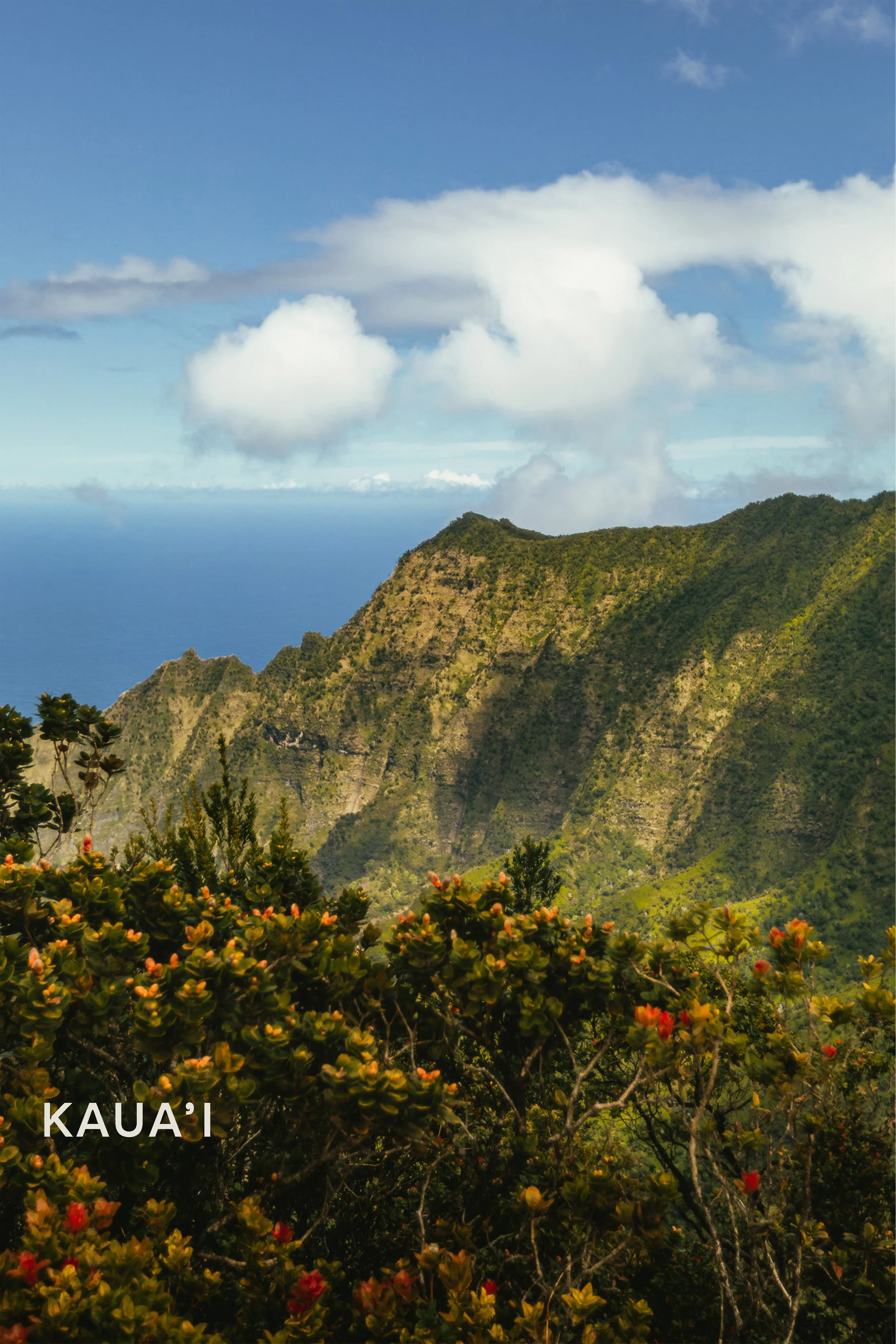 Na Pali Coast ridgeline with dramatic green cliffs and ocean views, Kauai Hawaii landscape photography by James Brasier
