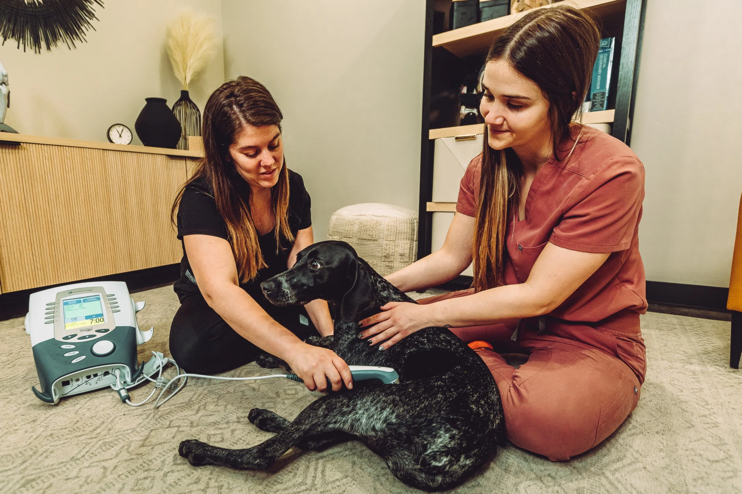 Two practitioners treating dog with therapy device at Walking Paws Rehab in Denver, veterinary photography by James Brasier