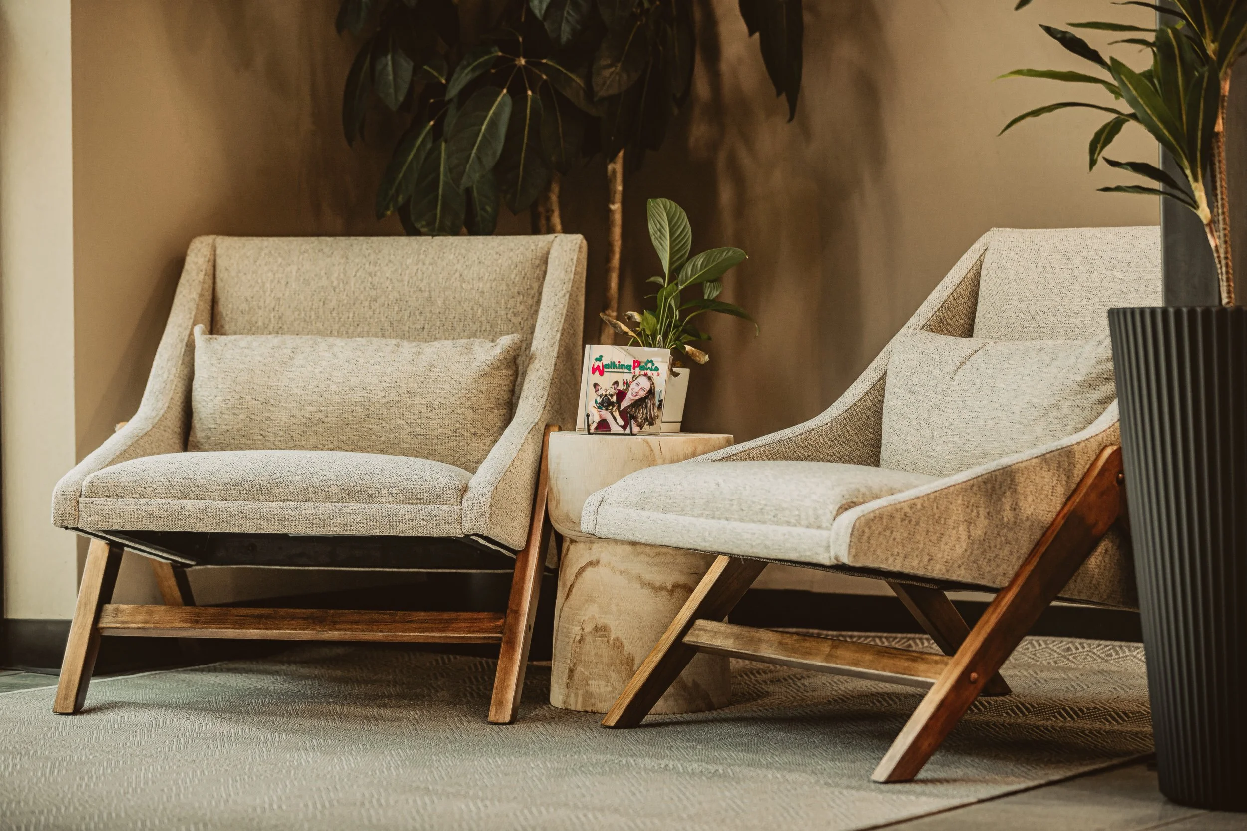 Mid-century lobby chairs with plants and Walking Paws brochure at Walking Paws Rehab in Denver, commercial interior photography by James Brasier