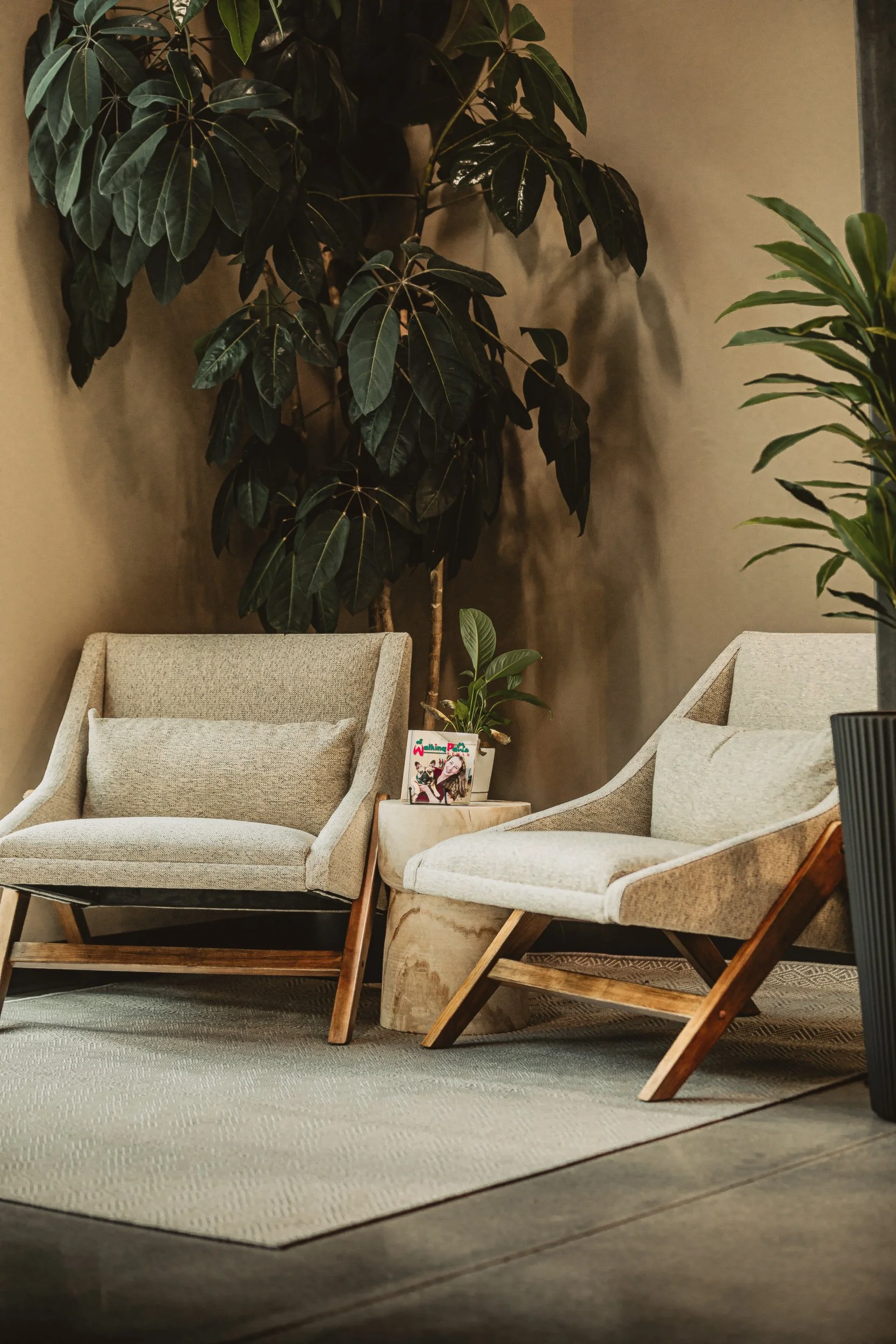 Tufted lounge chairs with side table and plants in treatment room at Walking Paws Rehab, commercial interior photography by James Brasier