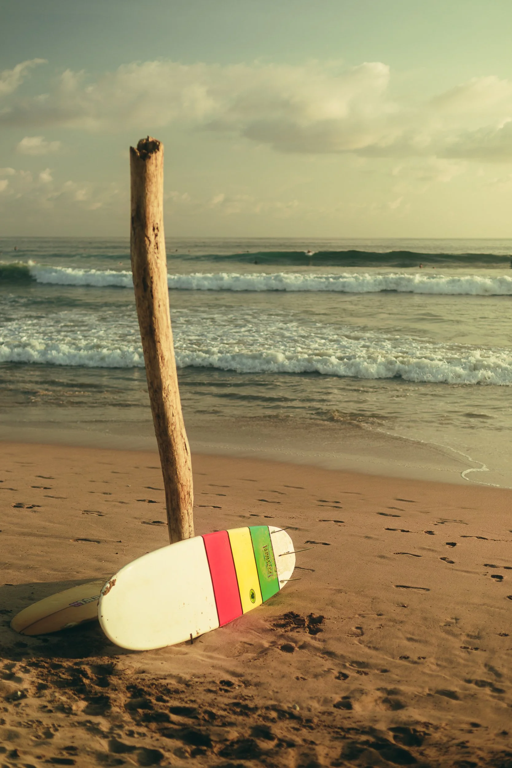 Colorful surfboard leaning against driftwood on the beach at Playa Guiones Costa Rica, tropical surf photography by James Brasier