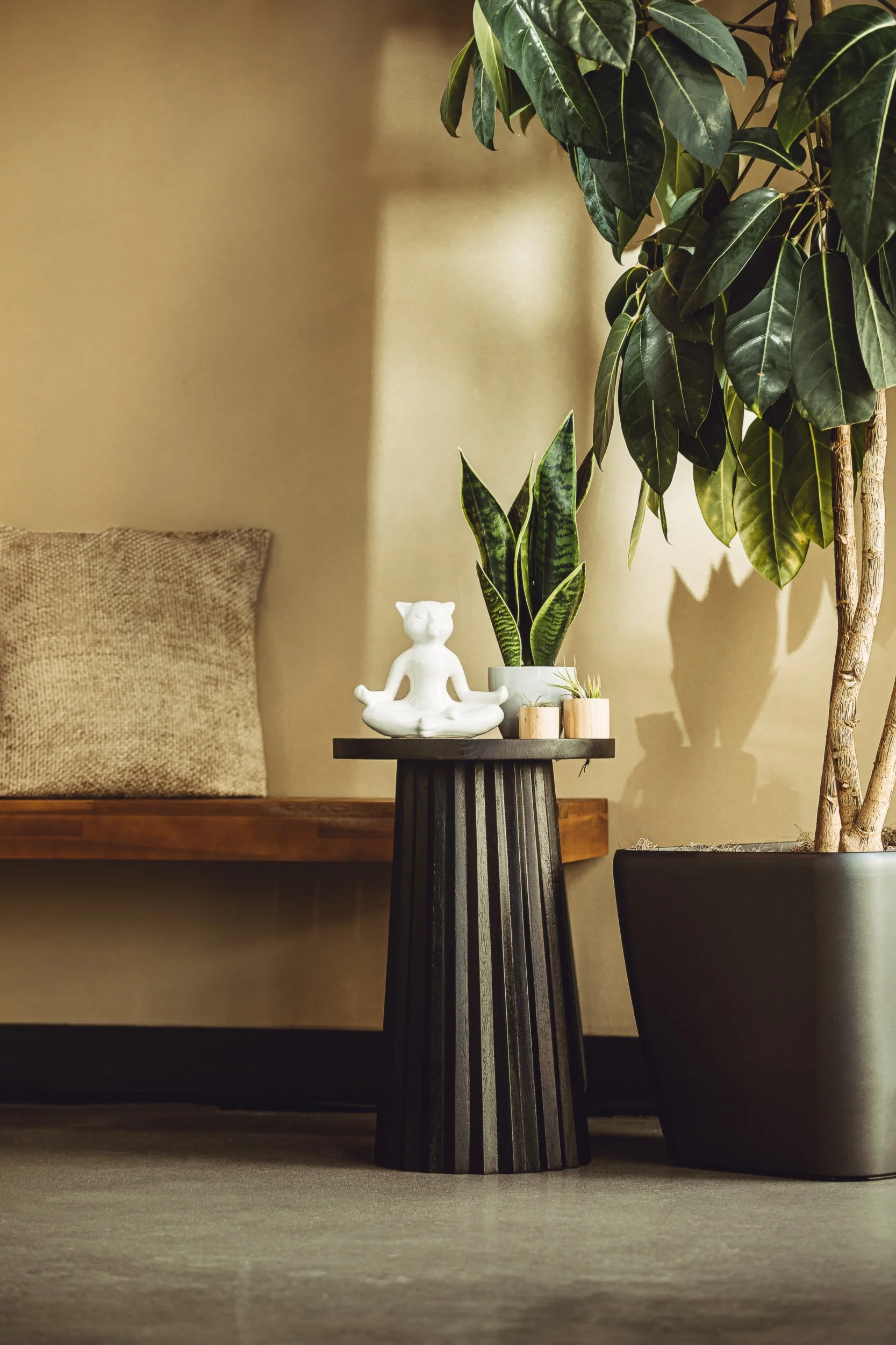 Meditating cat figurine on side table with plants and golden light at Walking Paws Rehab, commercial interior photography by James Brasier