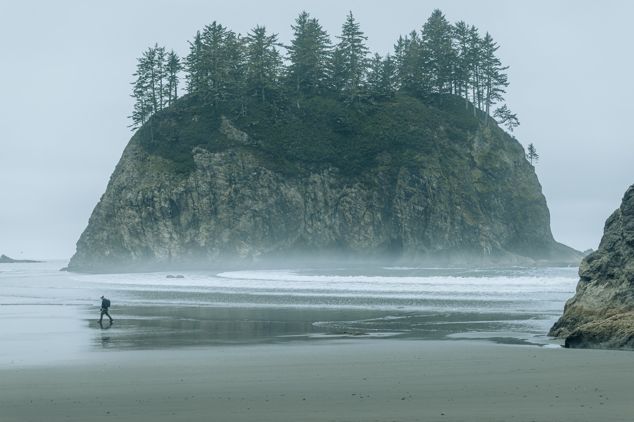 Hiker walking on foggy beach toward tree-covered sea stack on the Olympic Peninsula, Pacific Northwest landscape photography by James Brasier