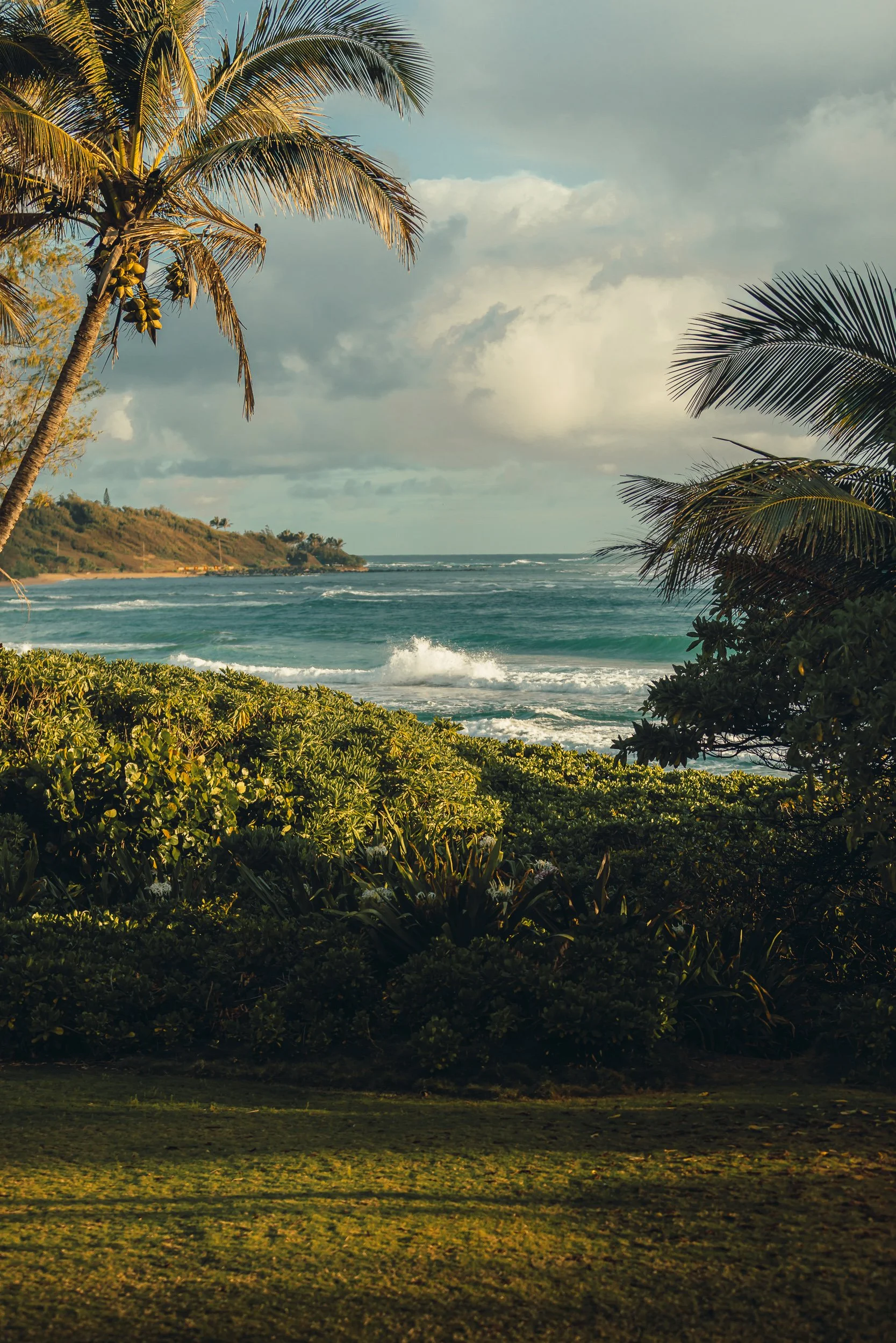 Palm trees framing turquoise ocean waves and distant headland on the North Shore of Kauai Hawaii, tropical coastline photography by James Brasier