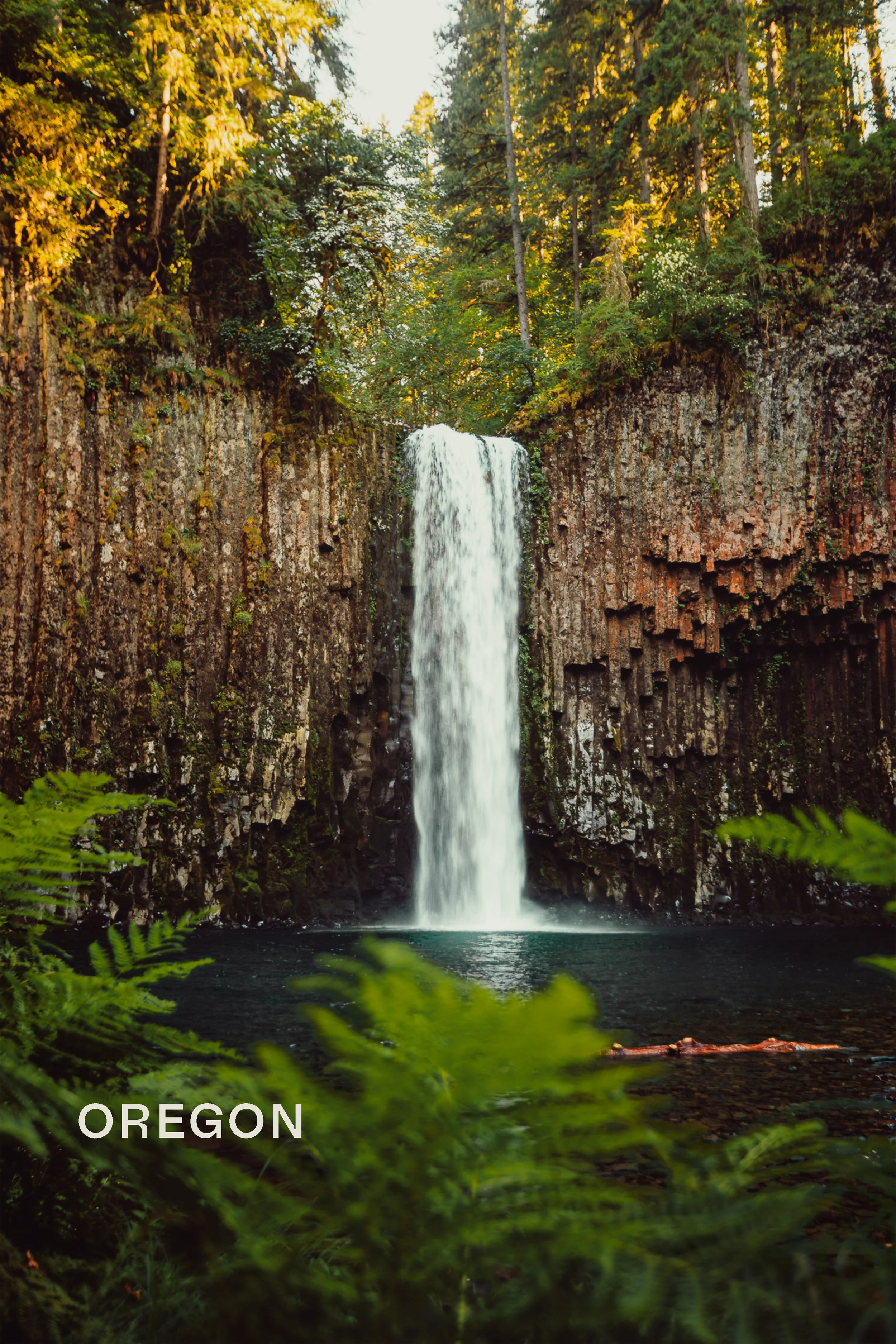 Waterfall framed by ferns and basalt column rock formations with a dark pool below, Oregon Pacific Northwest photography by James Brasier