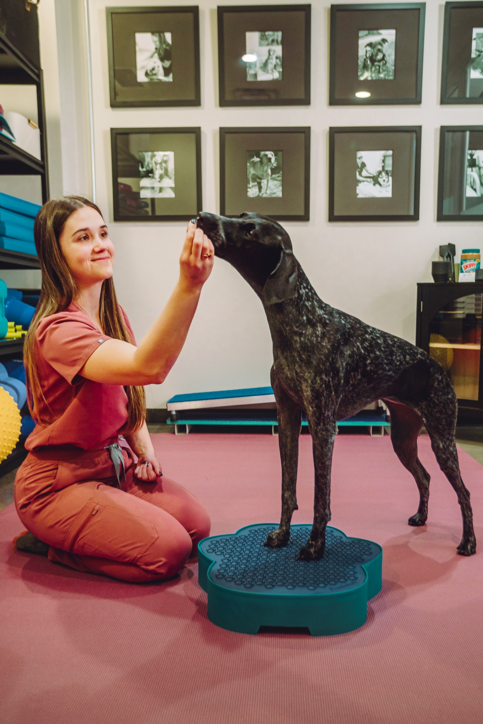 Dog standing on paw-shaped balance platform during rehabilitation exercise at Walking Paws Rehab, veterinary photography by James Brasier