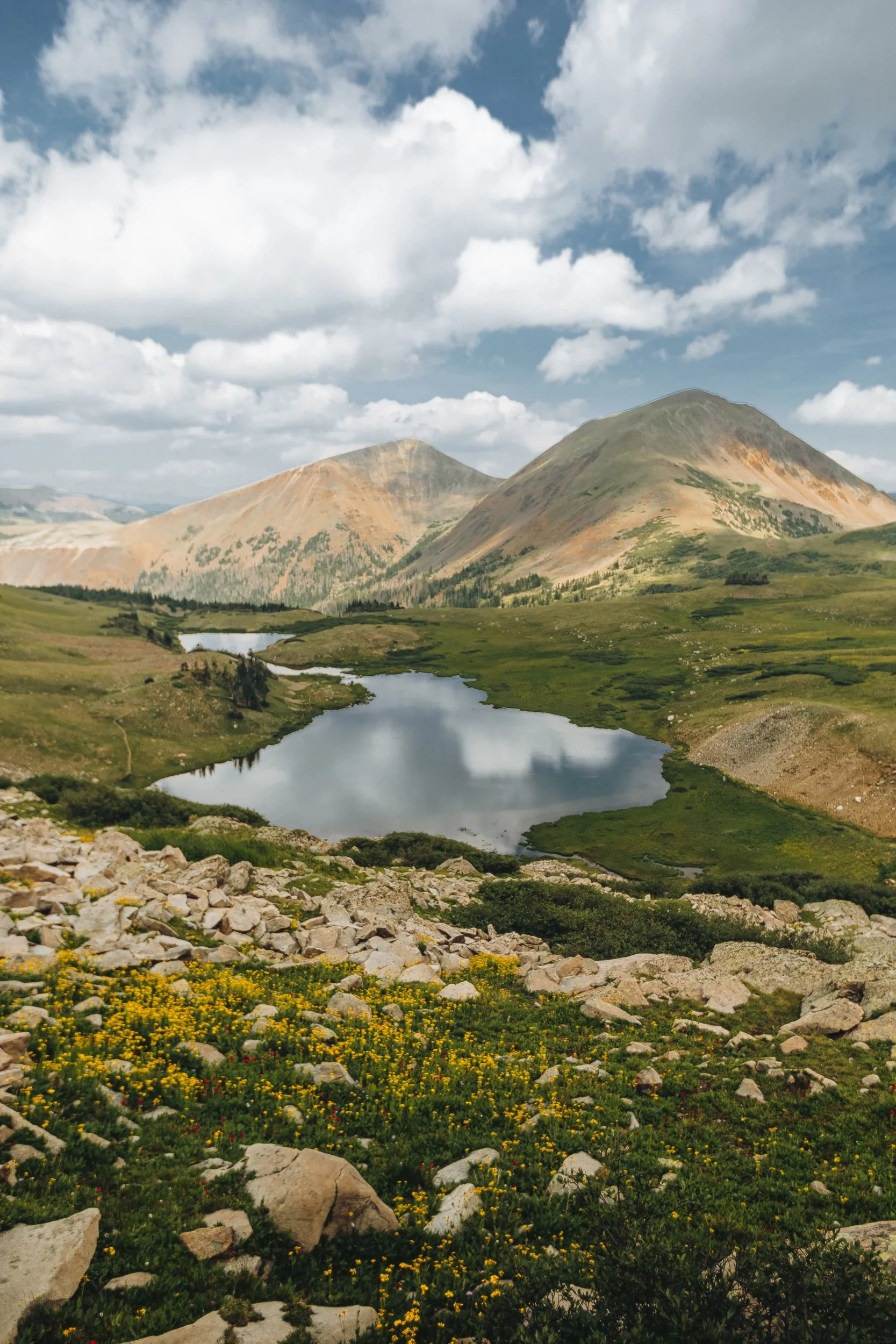 Alpine lake with wildflowers and cloud reflections at Michigan Lakes Colorado, outdoor landscape photography by James Brasier