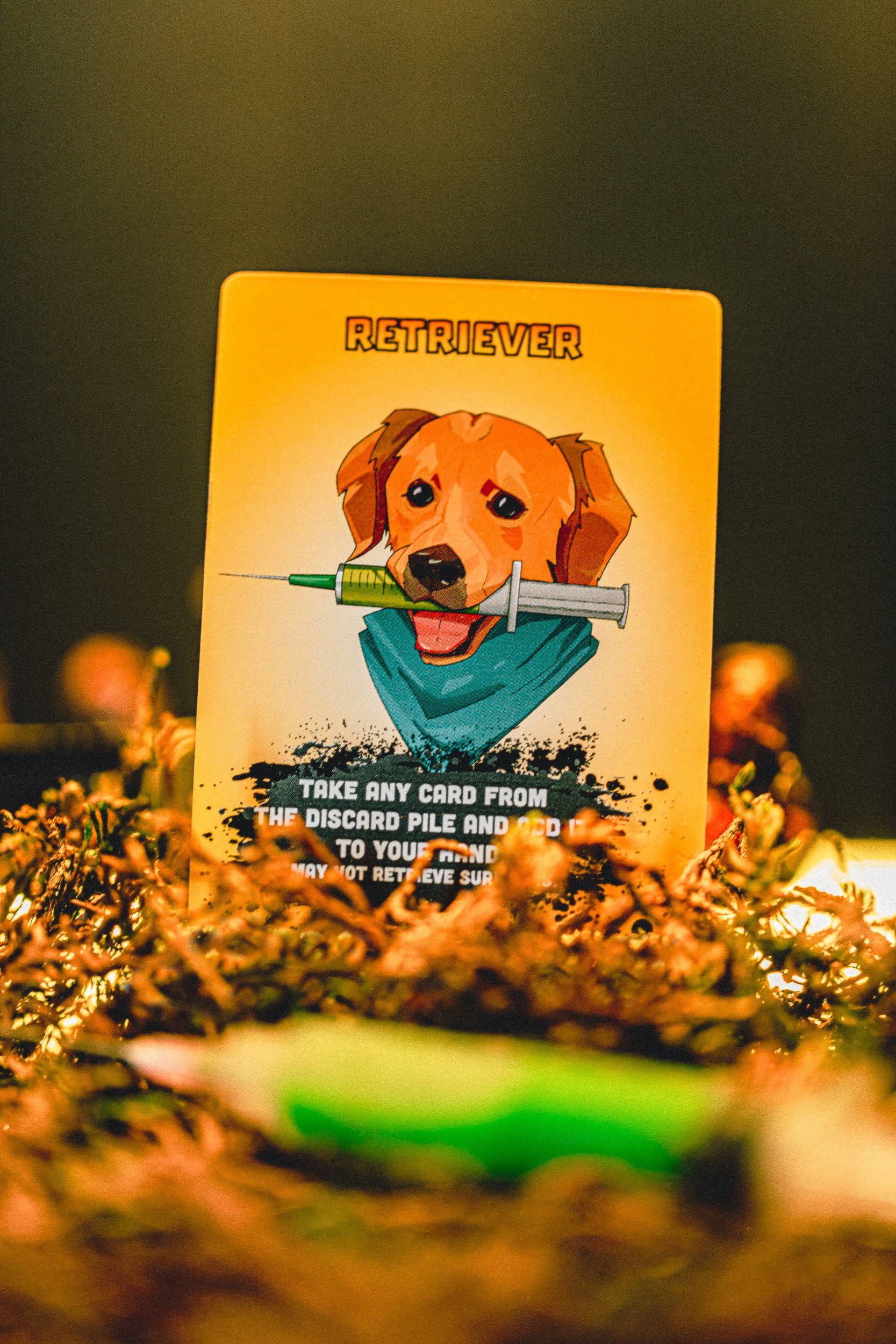 ZETA Survival Retriever card with golden warm lighting on moss, product photography by James Brasier