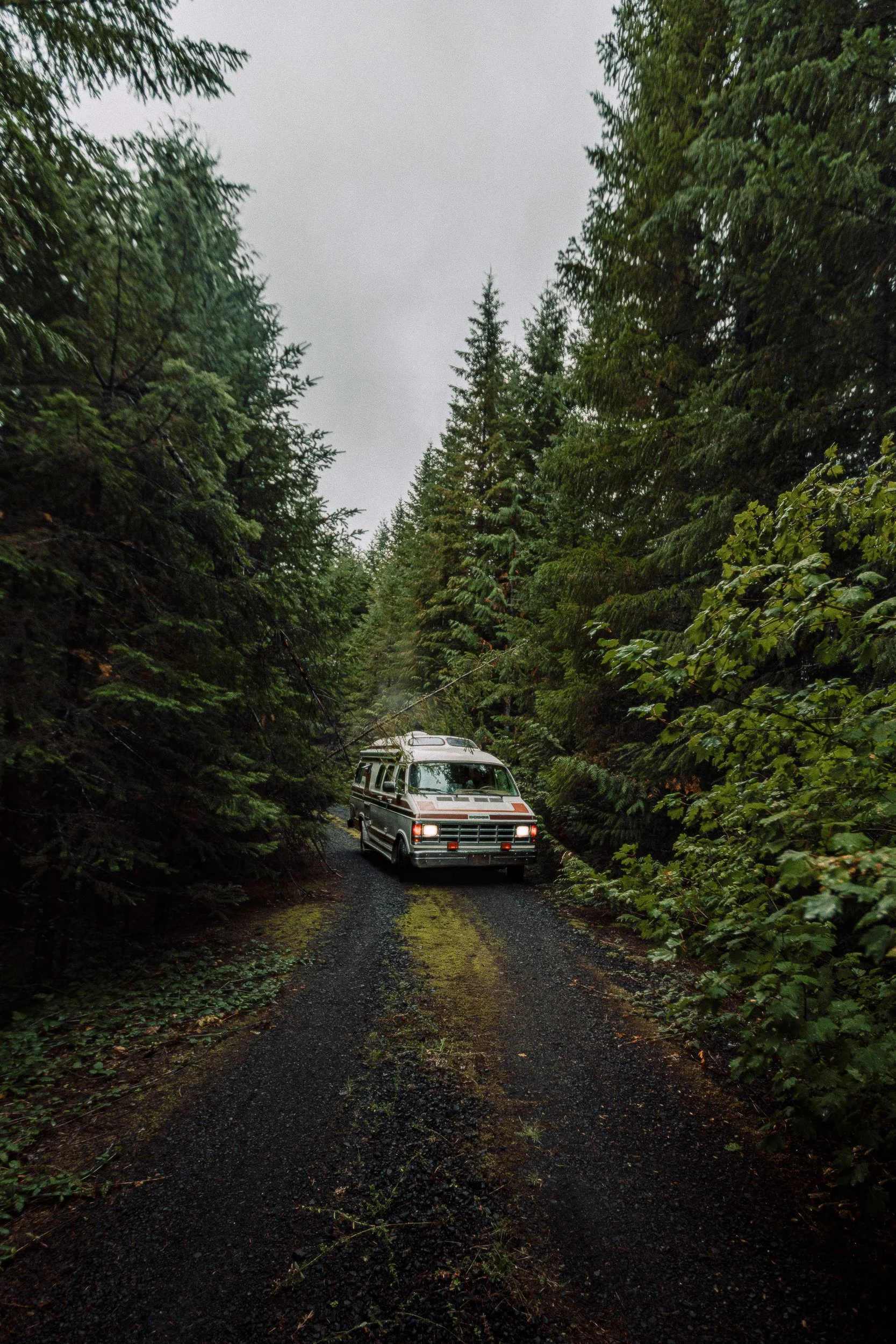 Vintage camper van with headlights on a dark forest road surrounded by evergreens in the Oregon rainforest, Pacific Northwest adventure photography by James Brasier