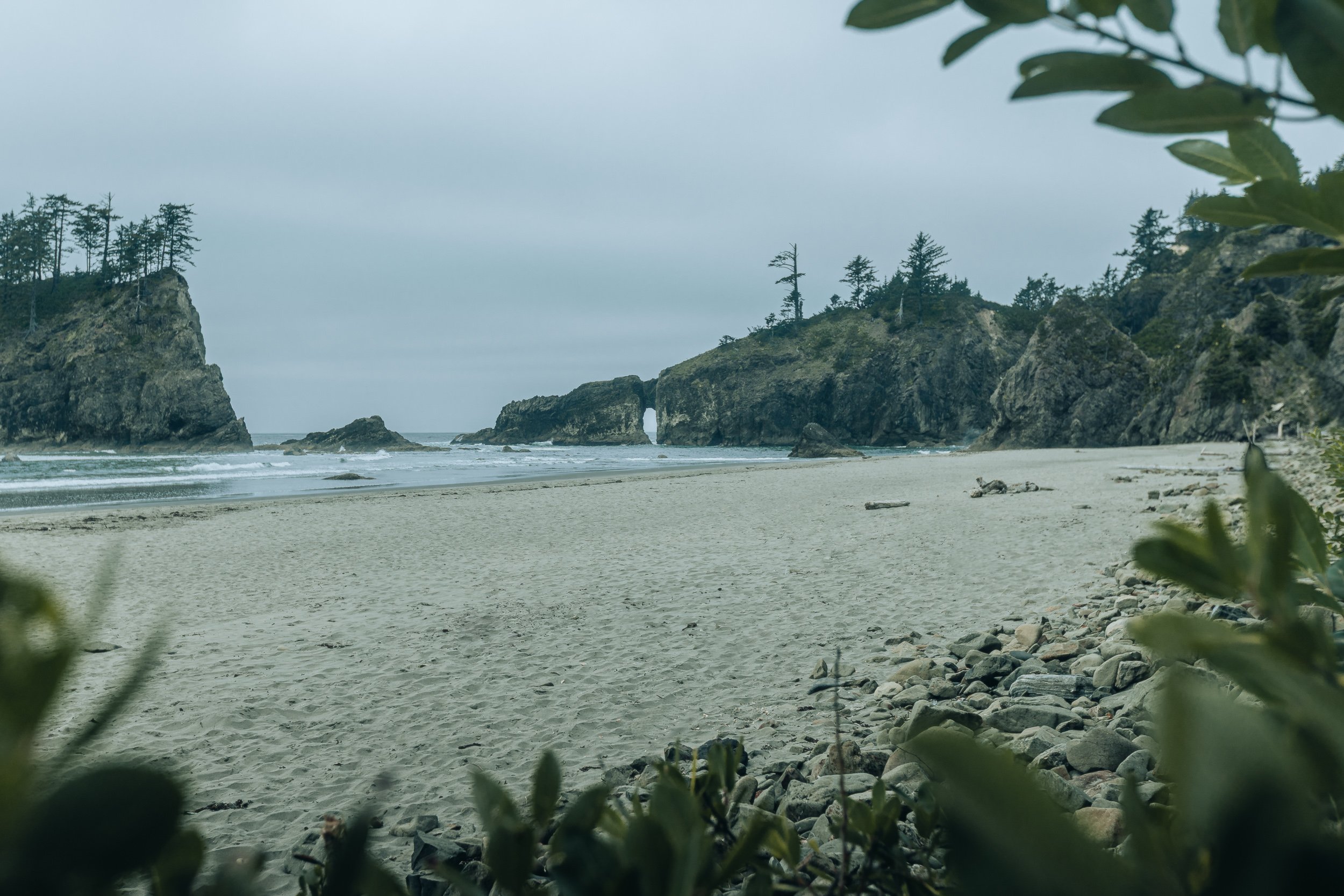 Rocky sea stacks and sandy beach framed by coastal foliage on the Olympic Peninsula, Washington coastline photography by James Brasier