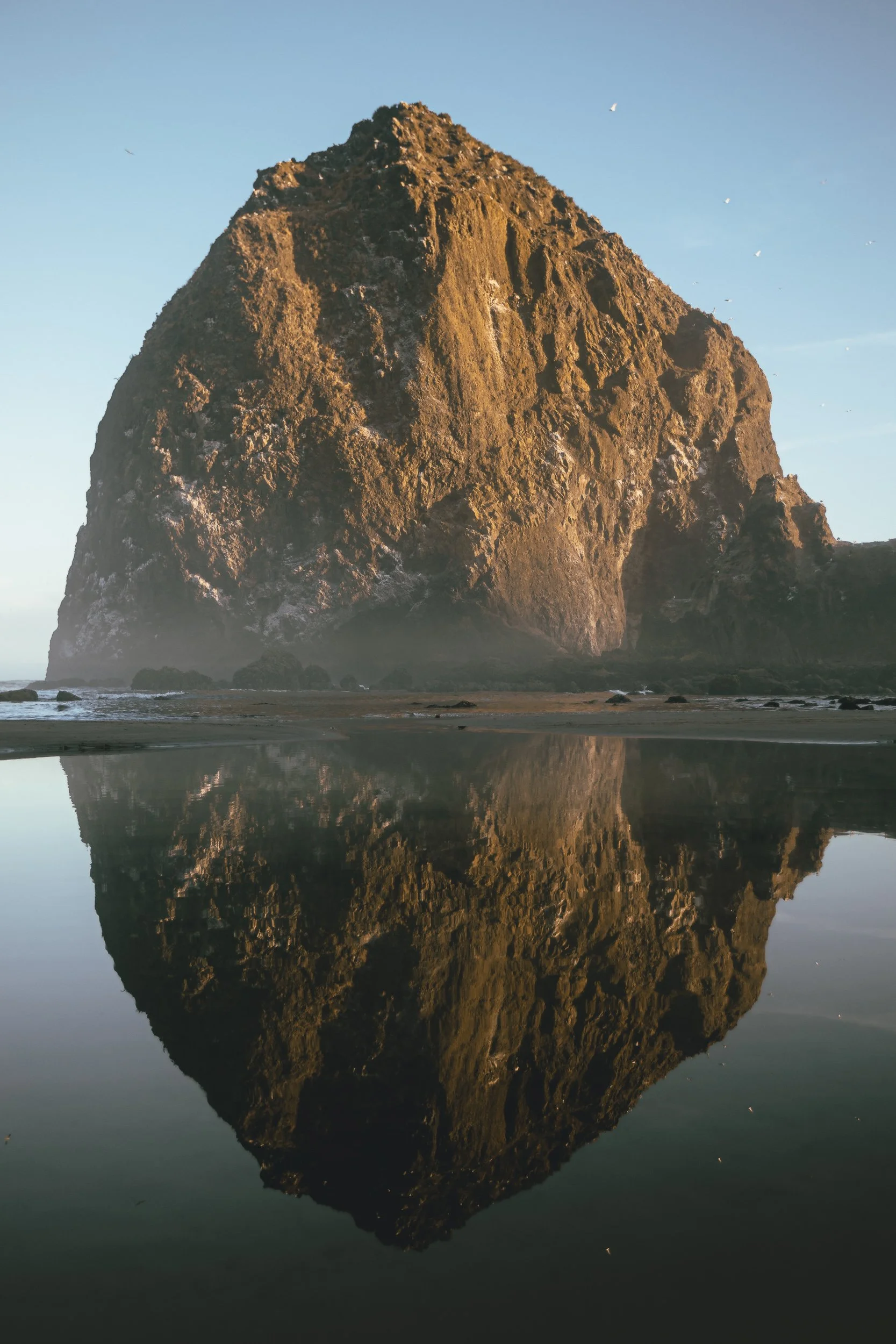 Haystack Rock reflected in wet sand at sunrise with golden light at Cannon Beach Oregon, coastal landscape photography by James Brasier