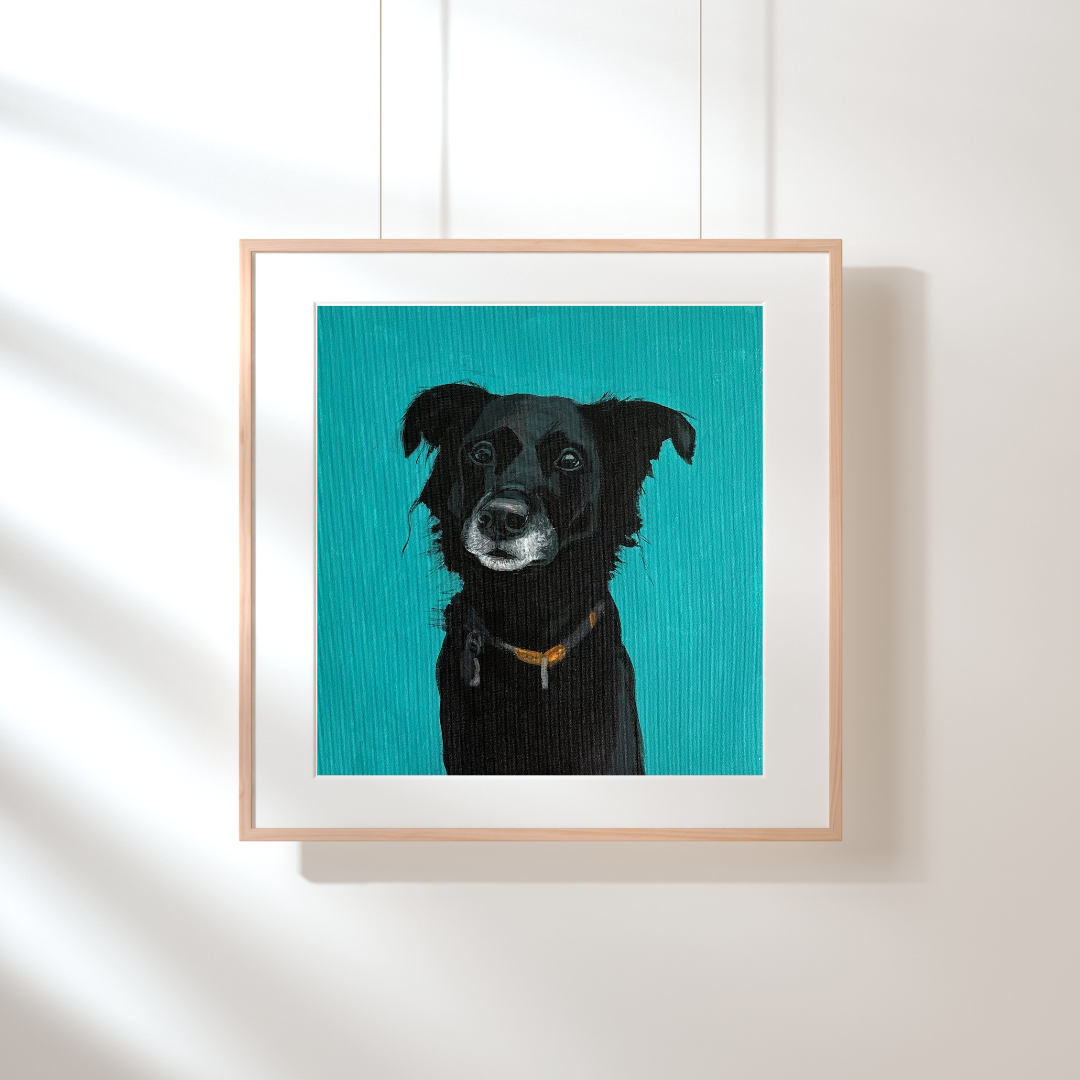 framed poppy.png